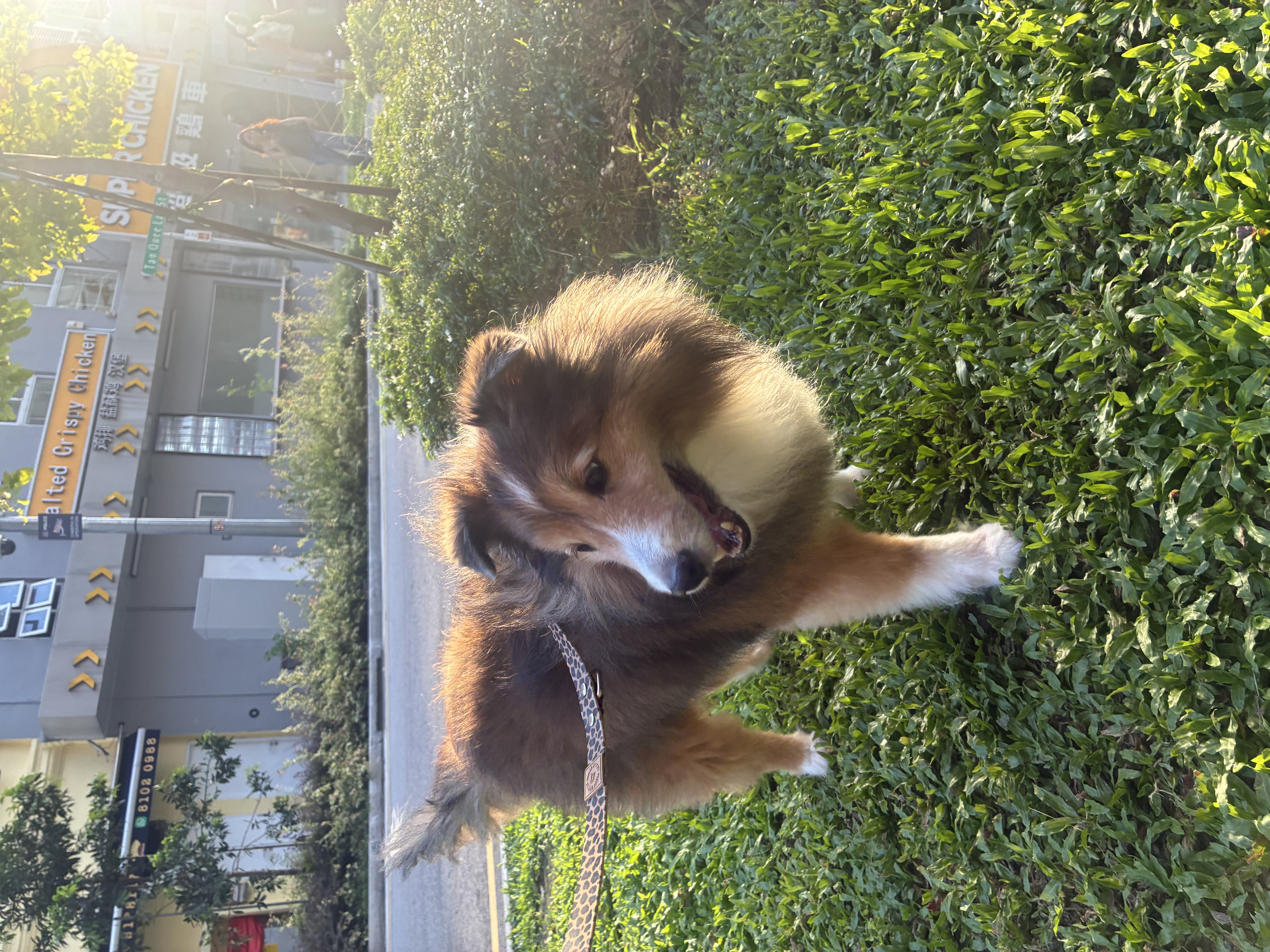 image-11