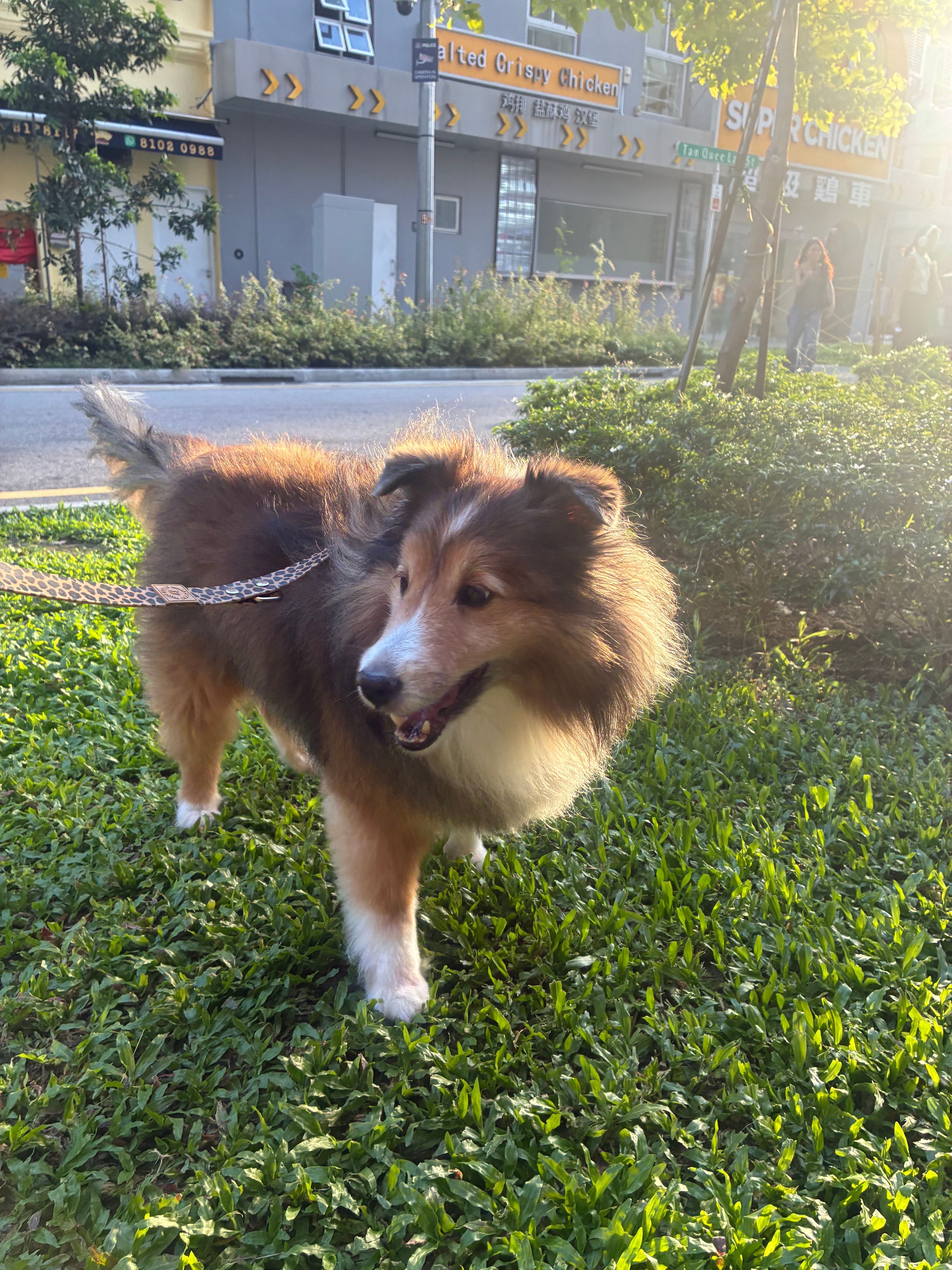 image-11