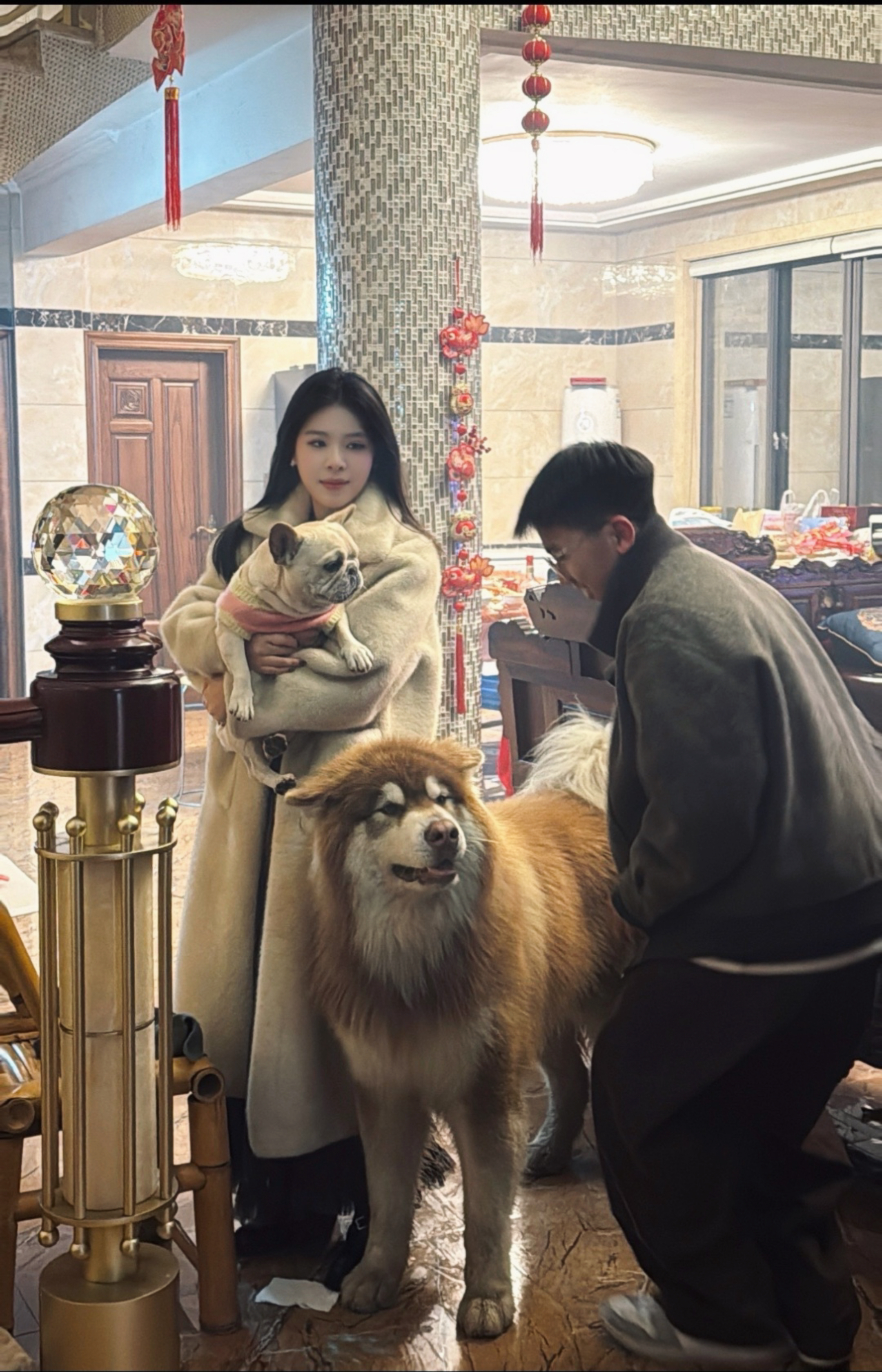 image-7