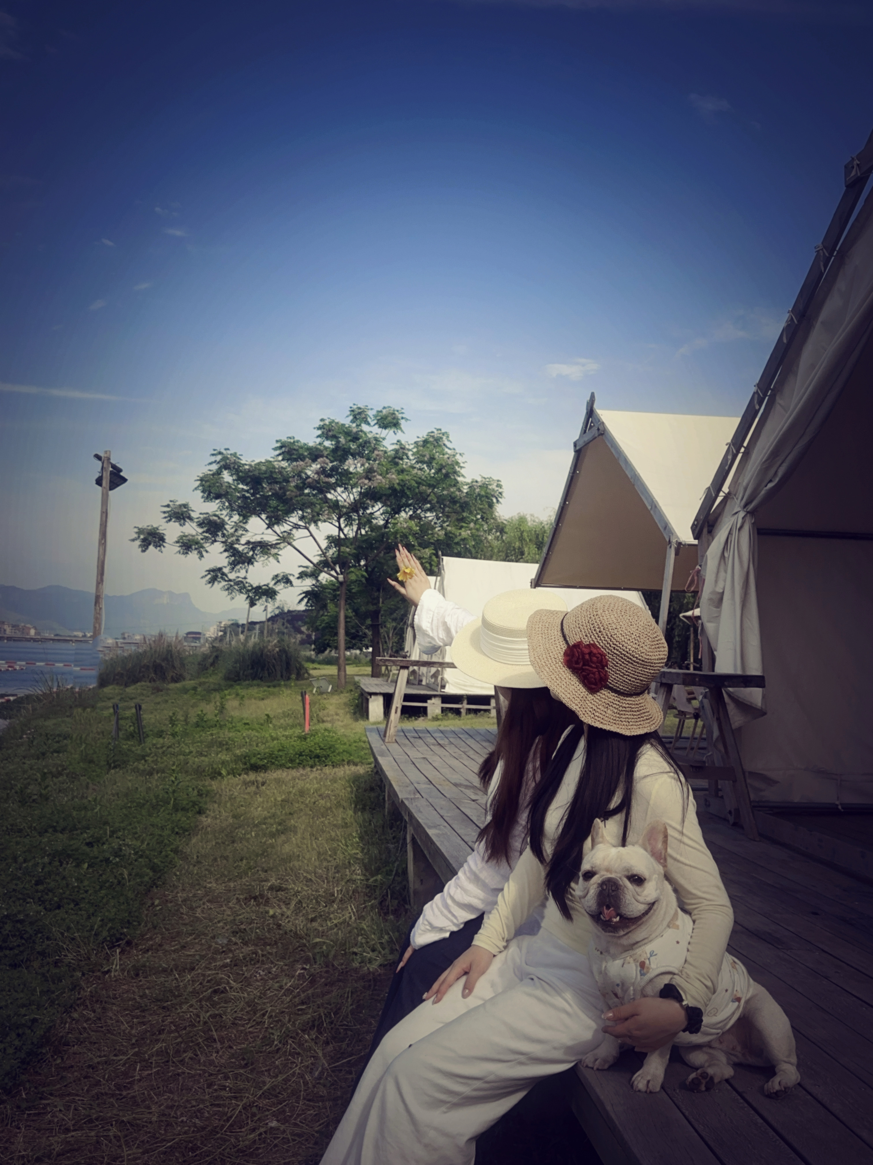 image-5