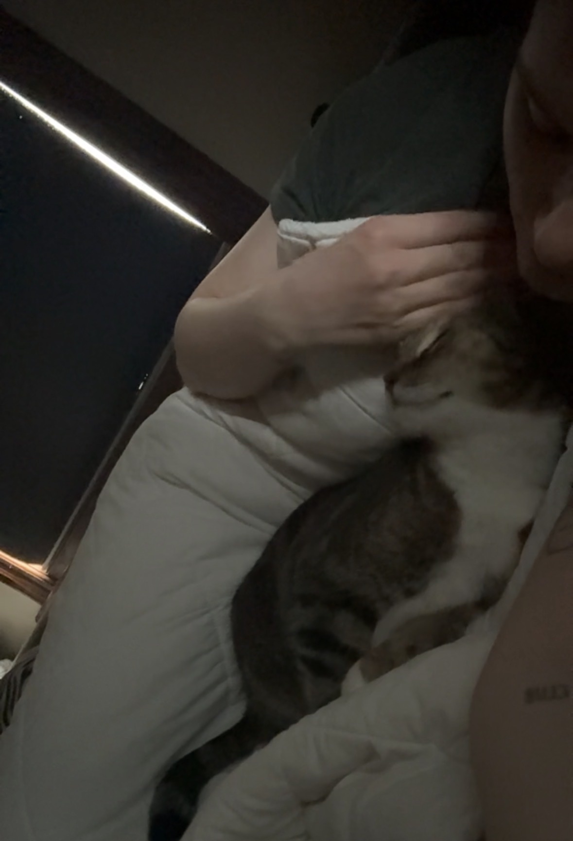 image-8
