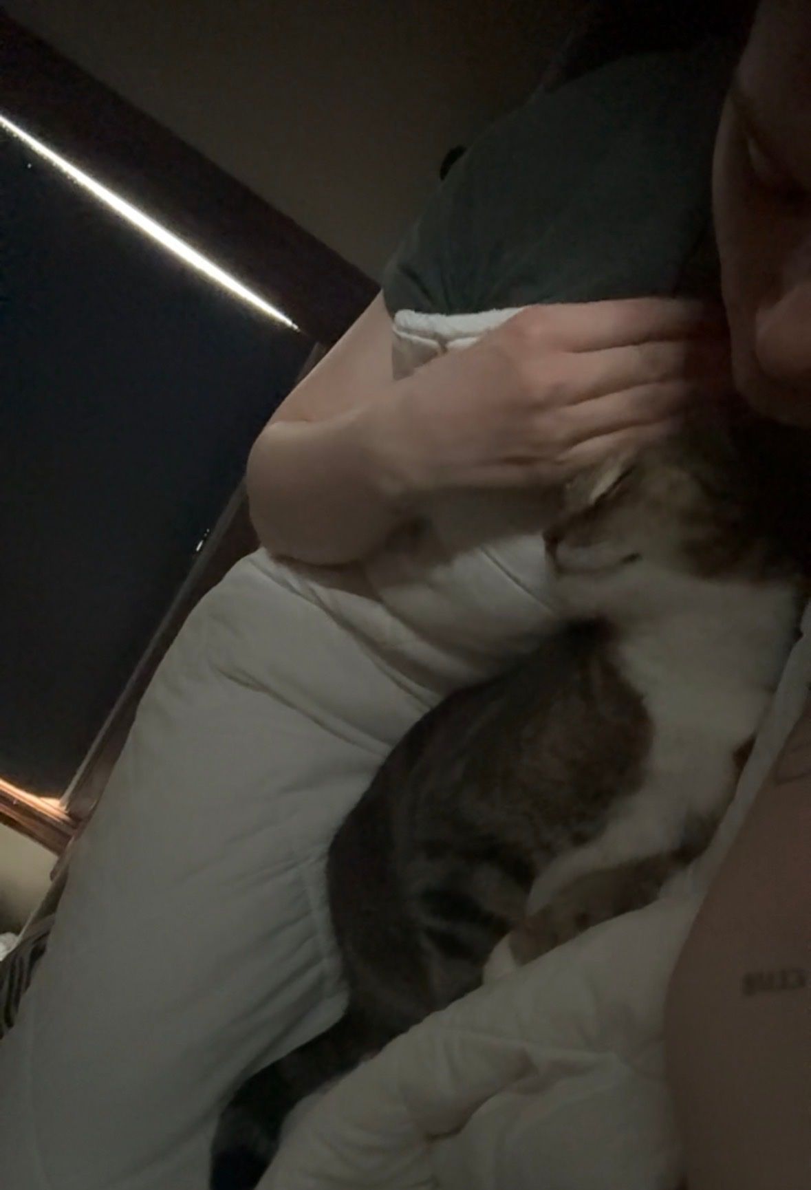 image-8