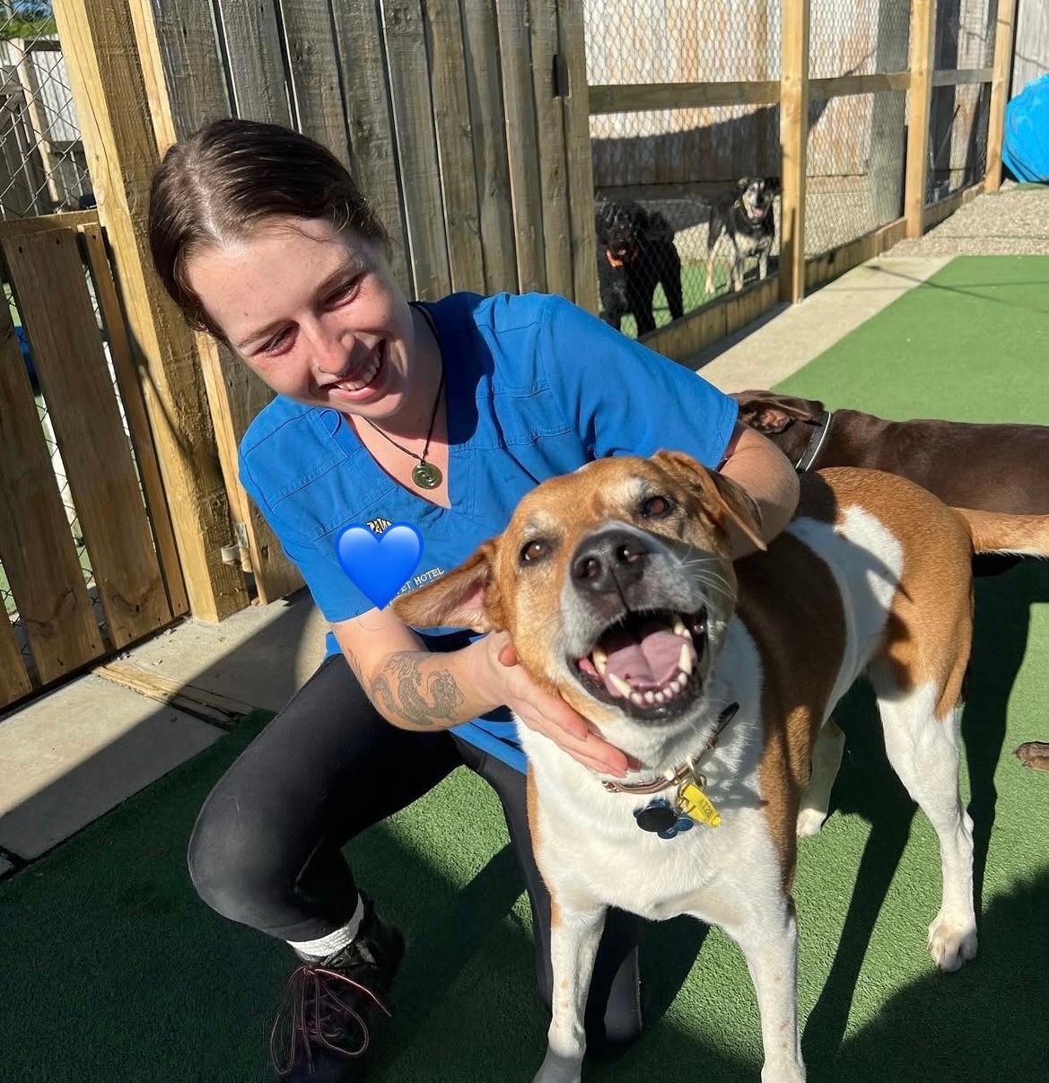 image-7