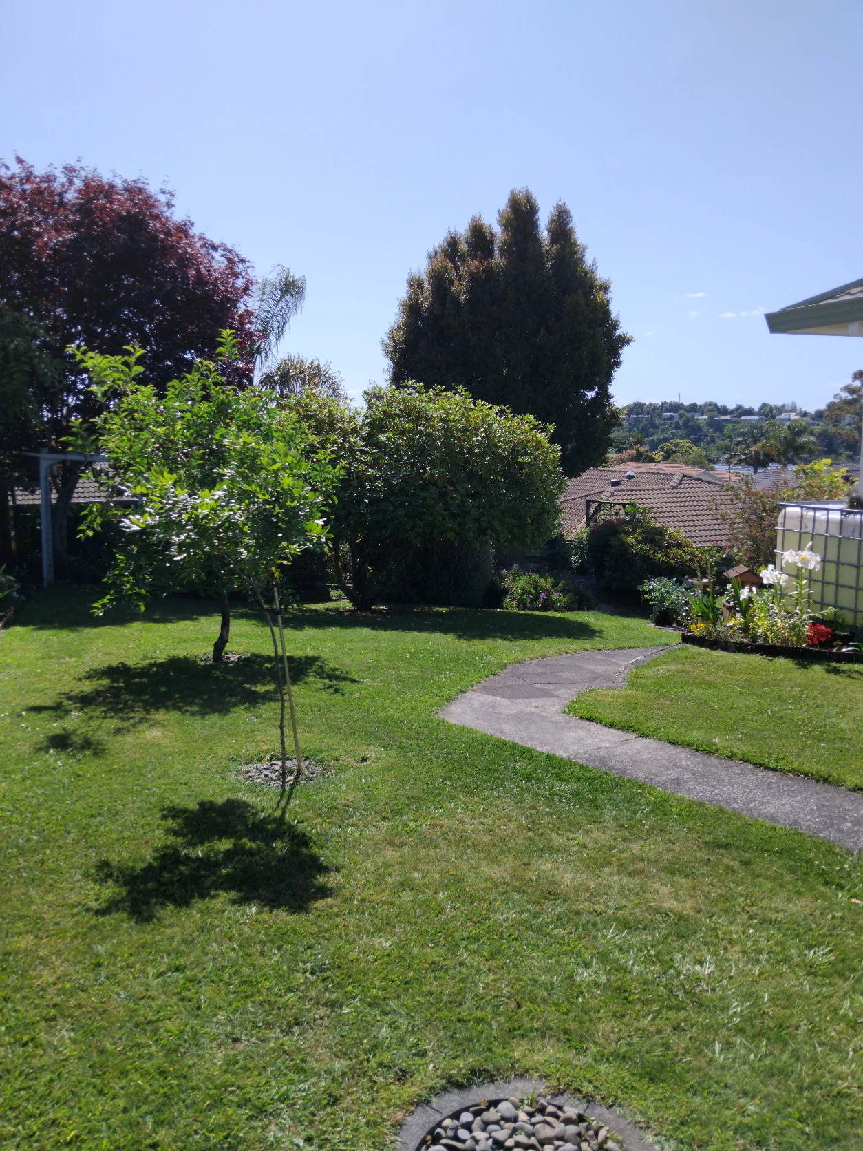 image-13