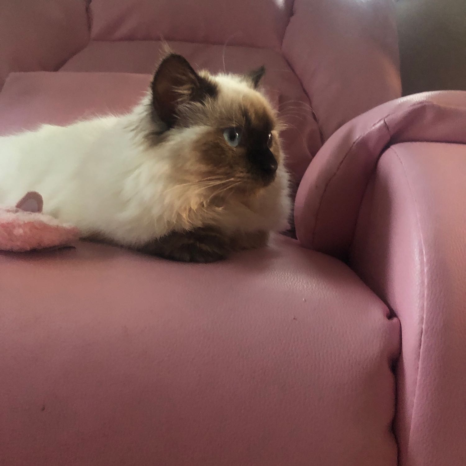 Luna