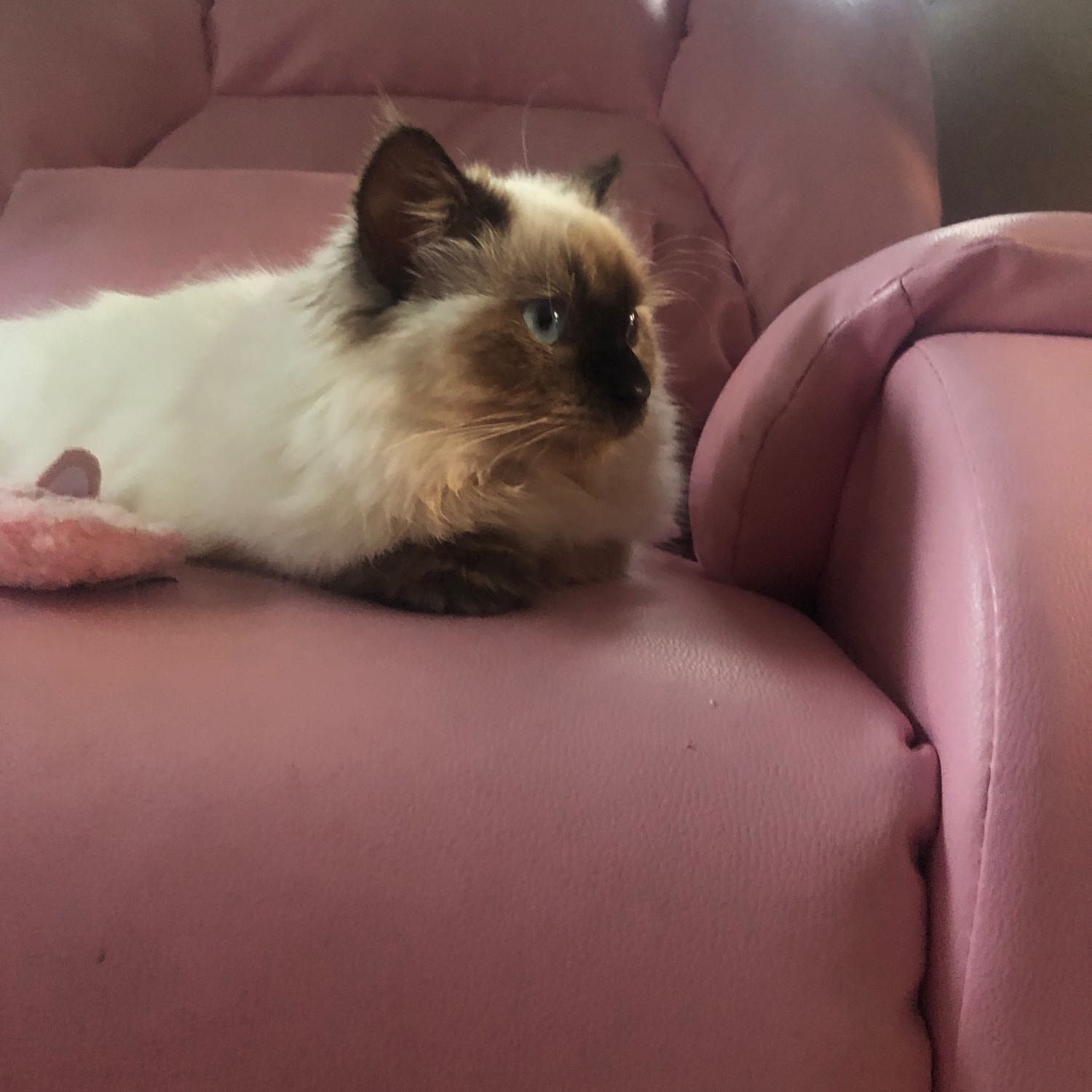 Luna