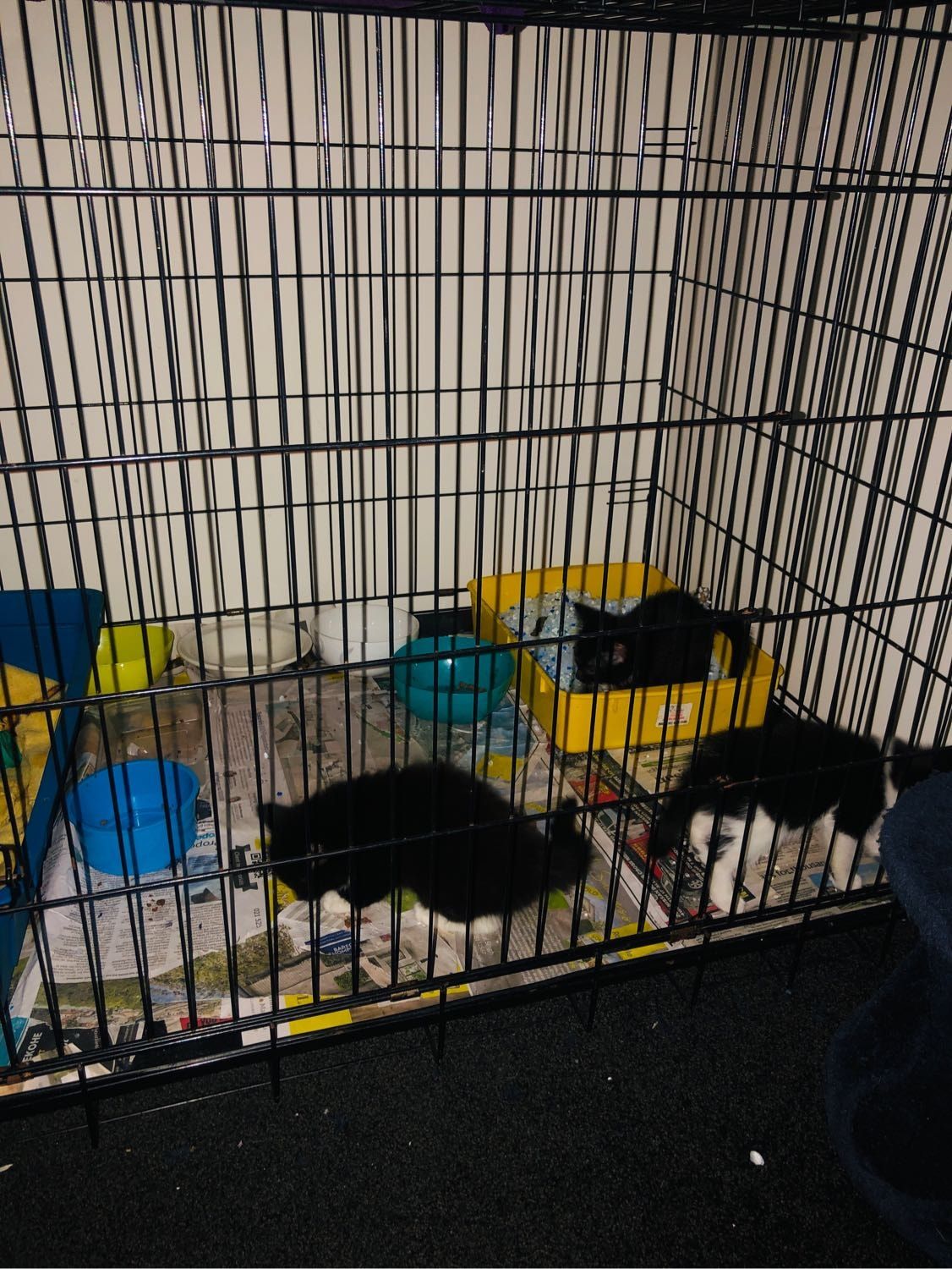image-4