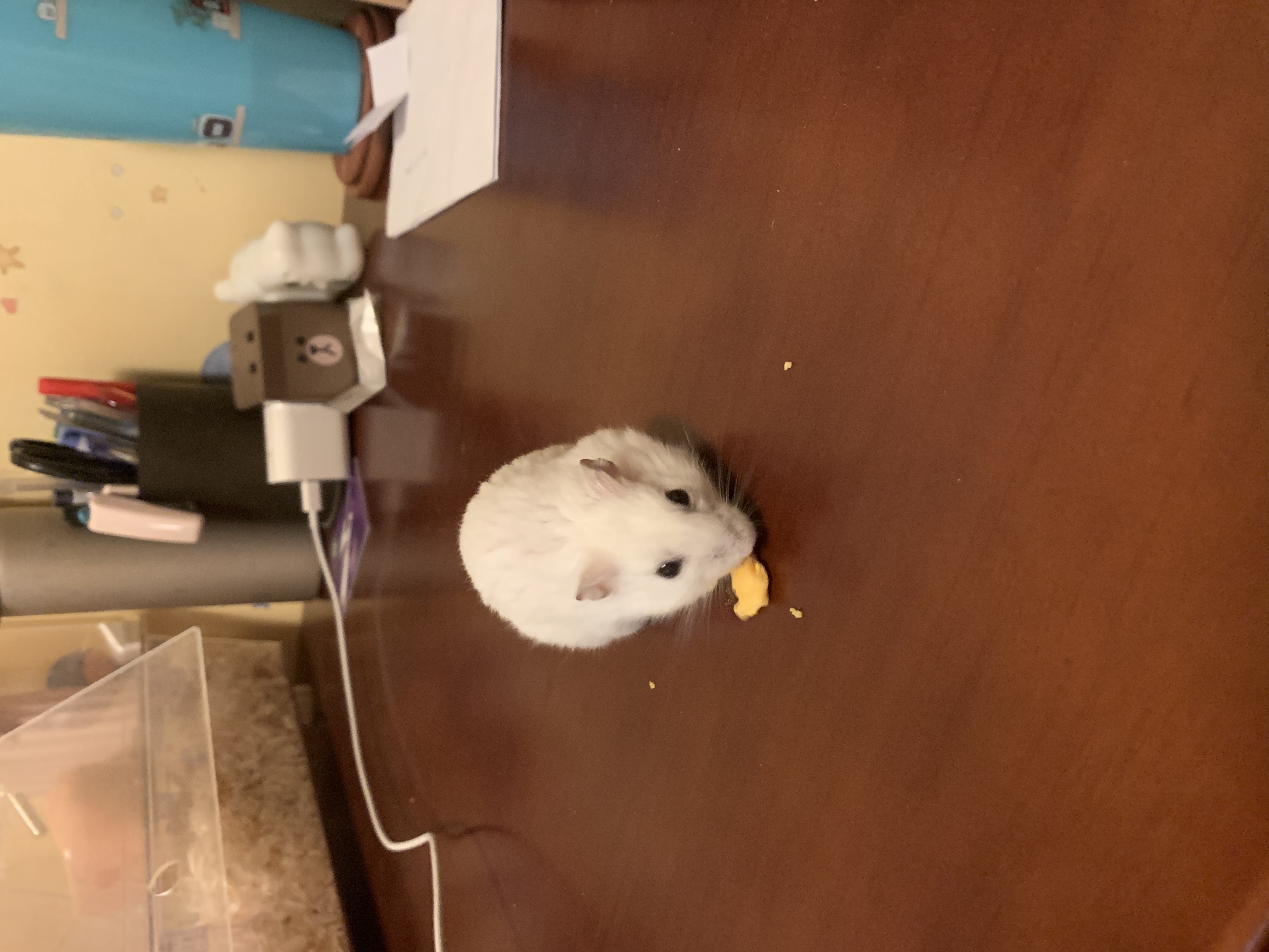 image-6