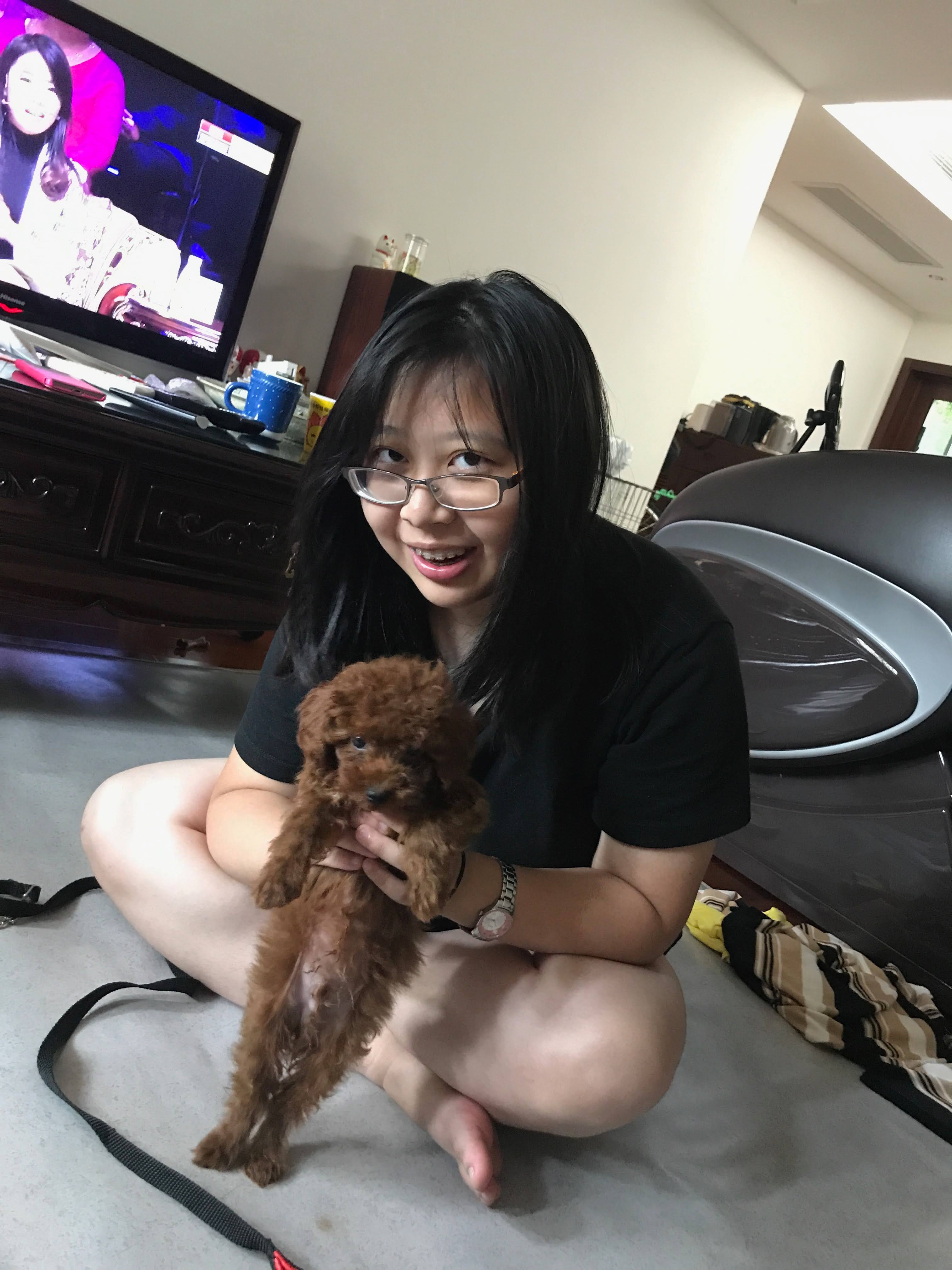 image-12