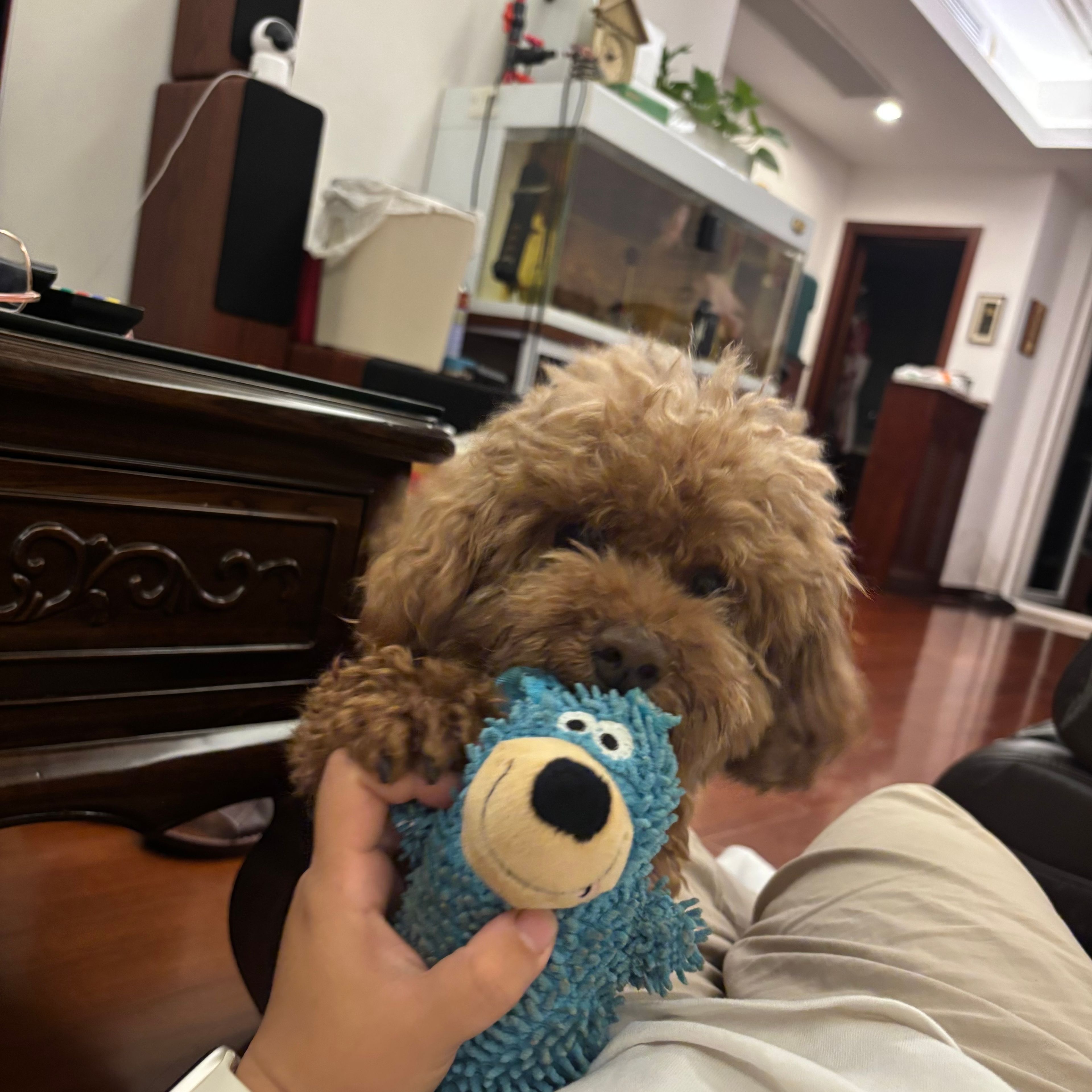 image-7