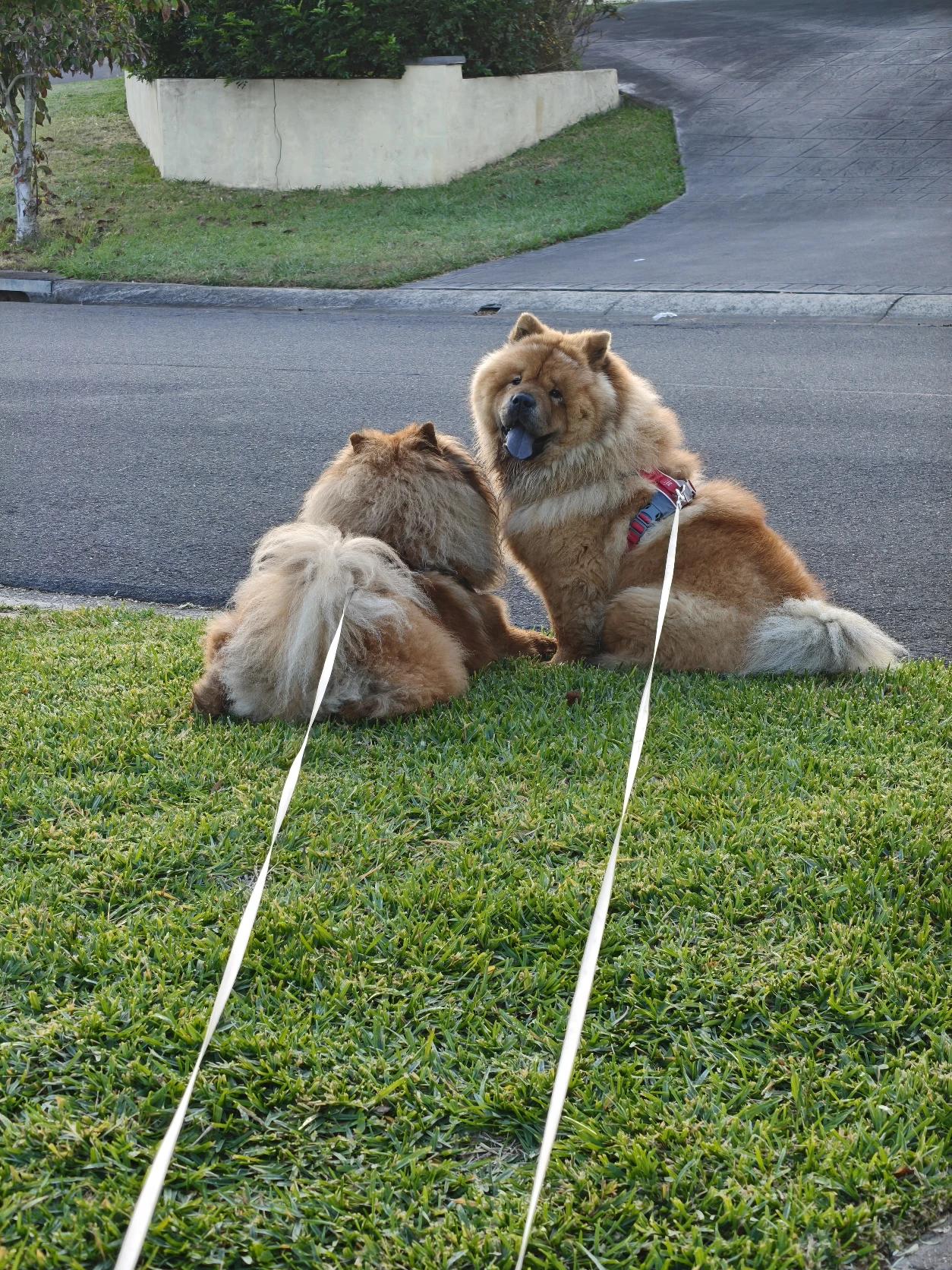image-2