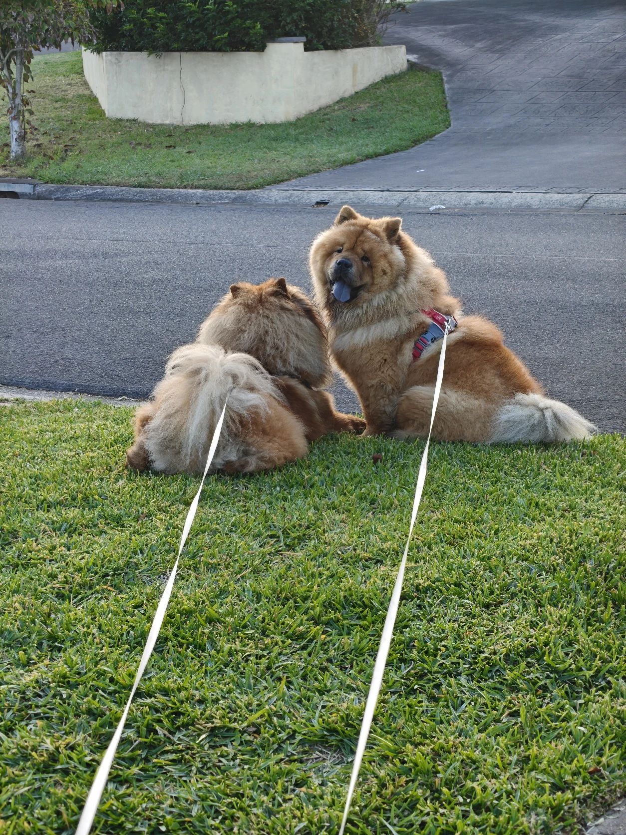 image-2