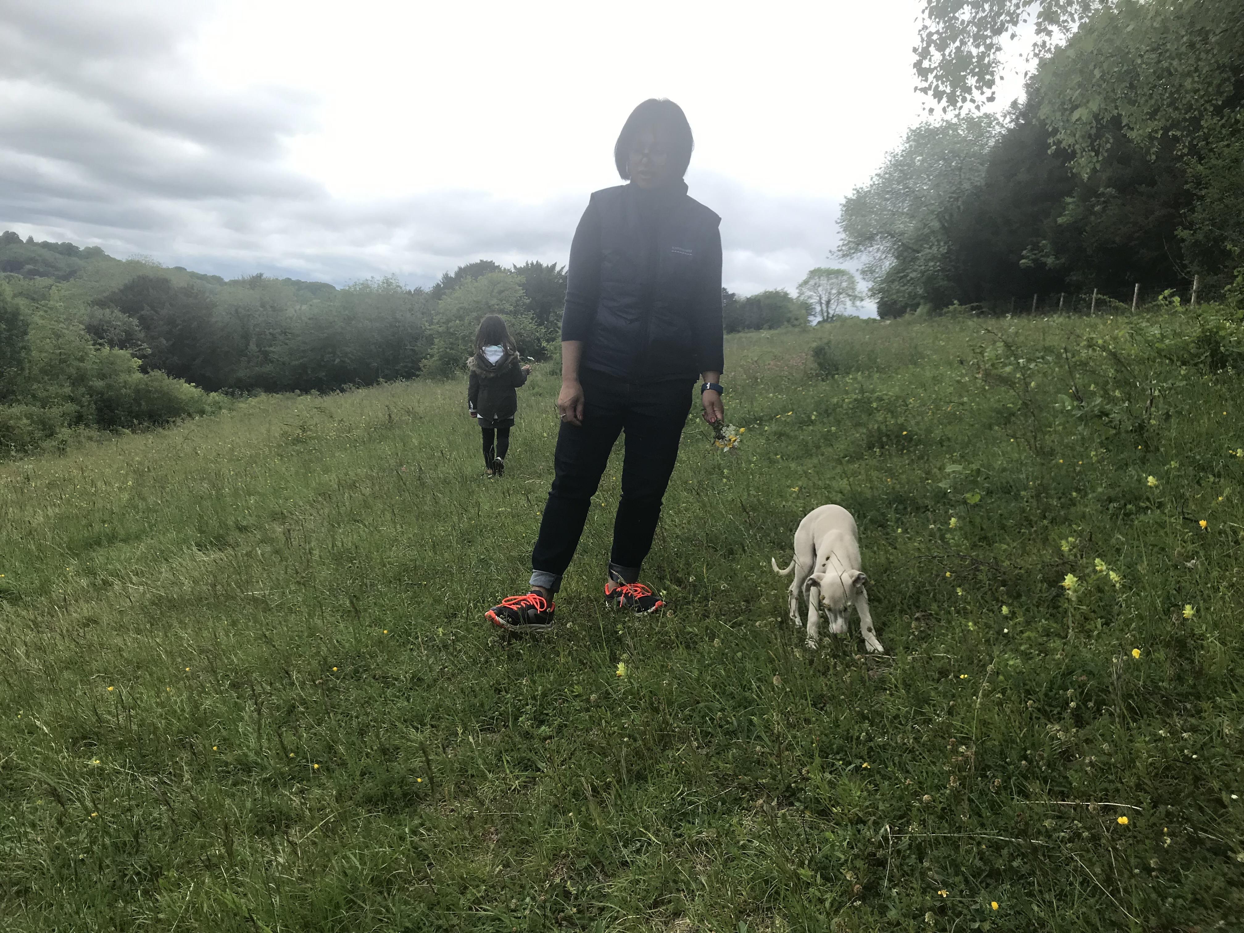 image-5