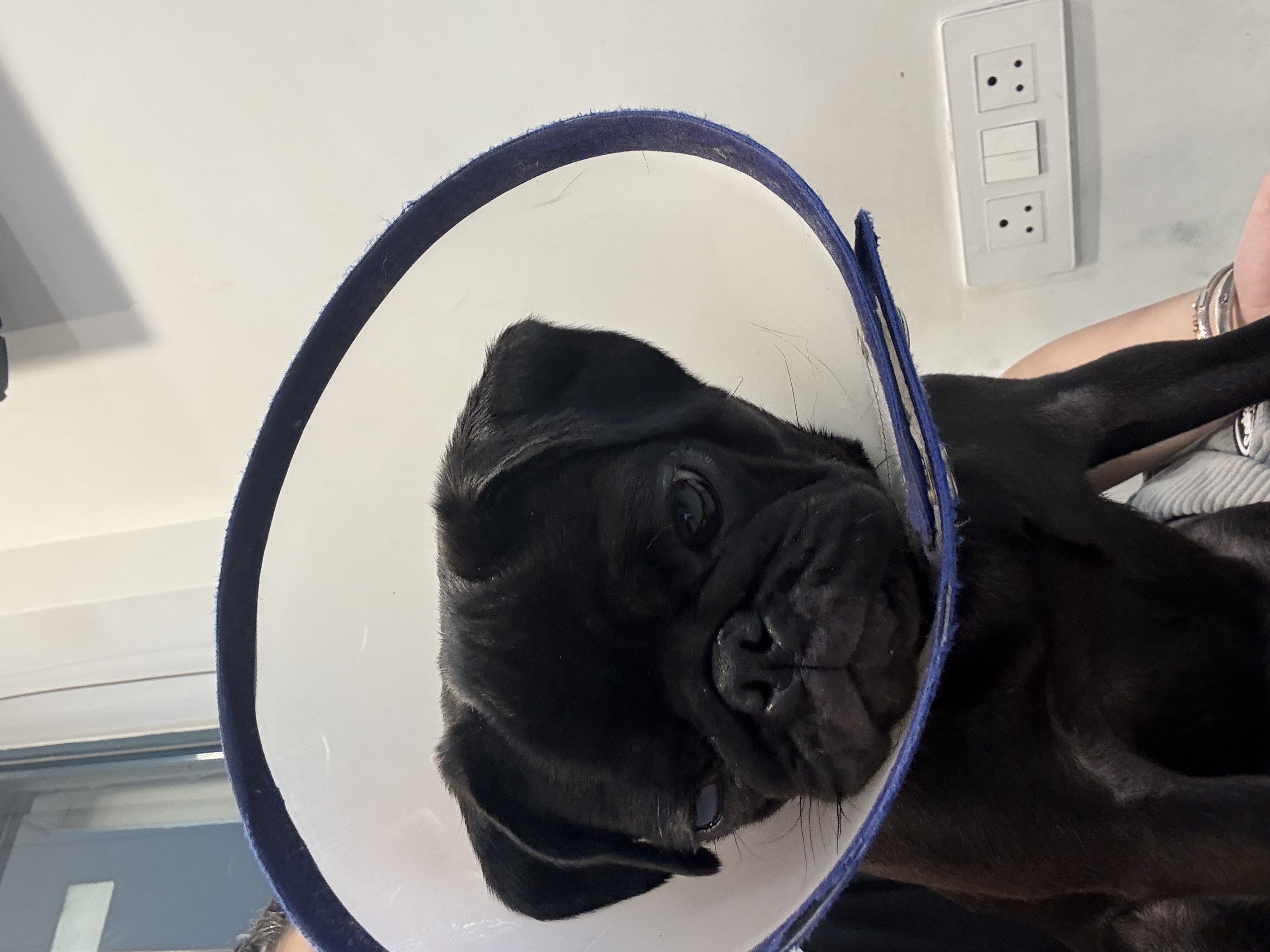 image-6