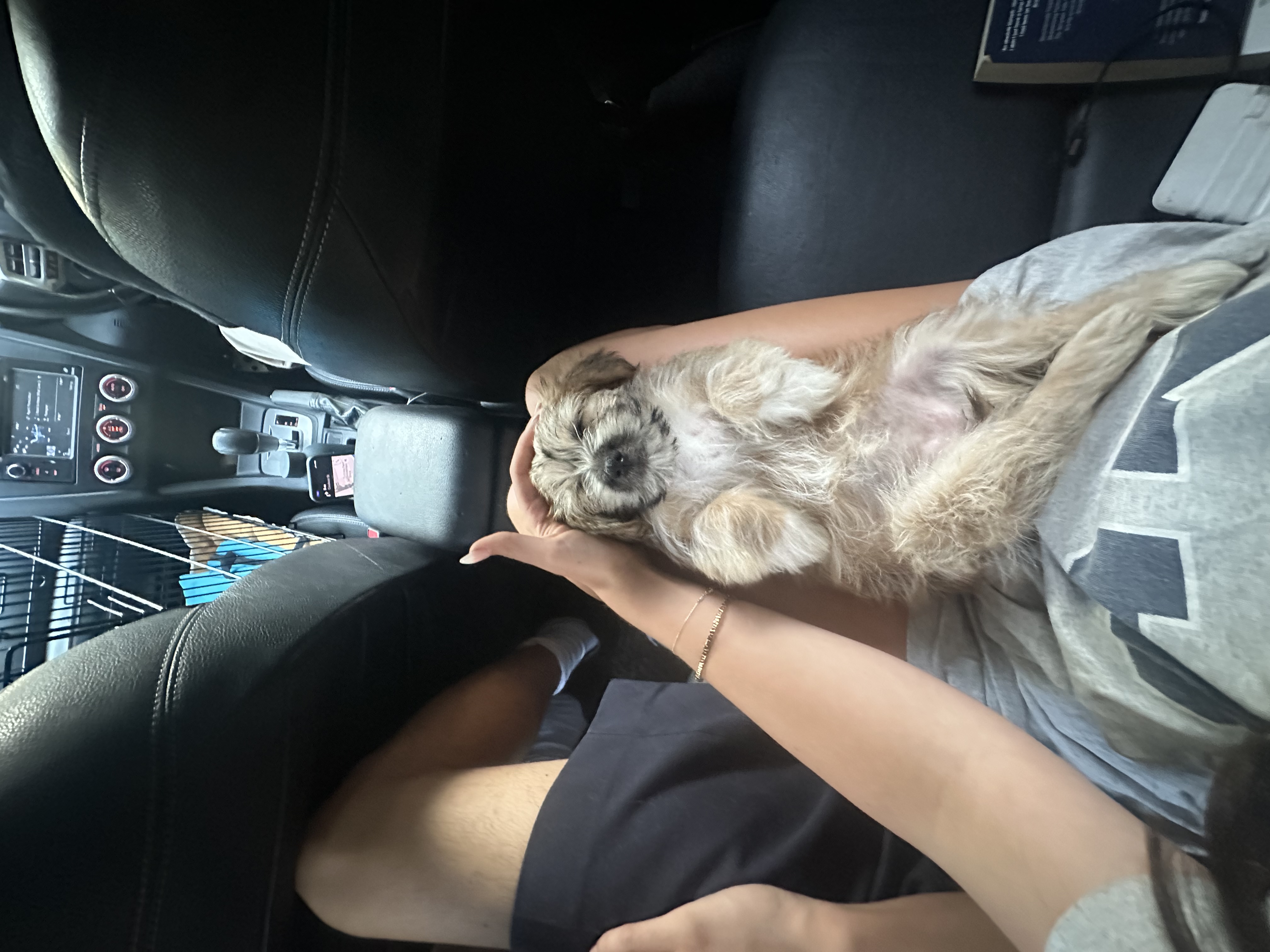 image-5