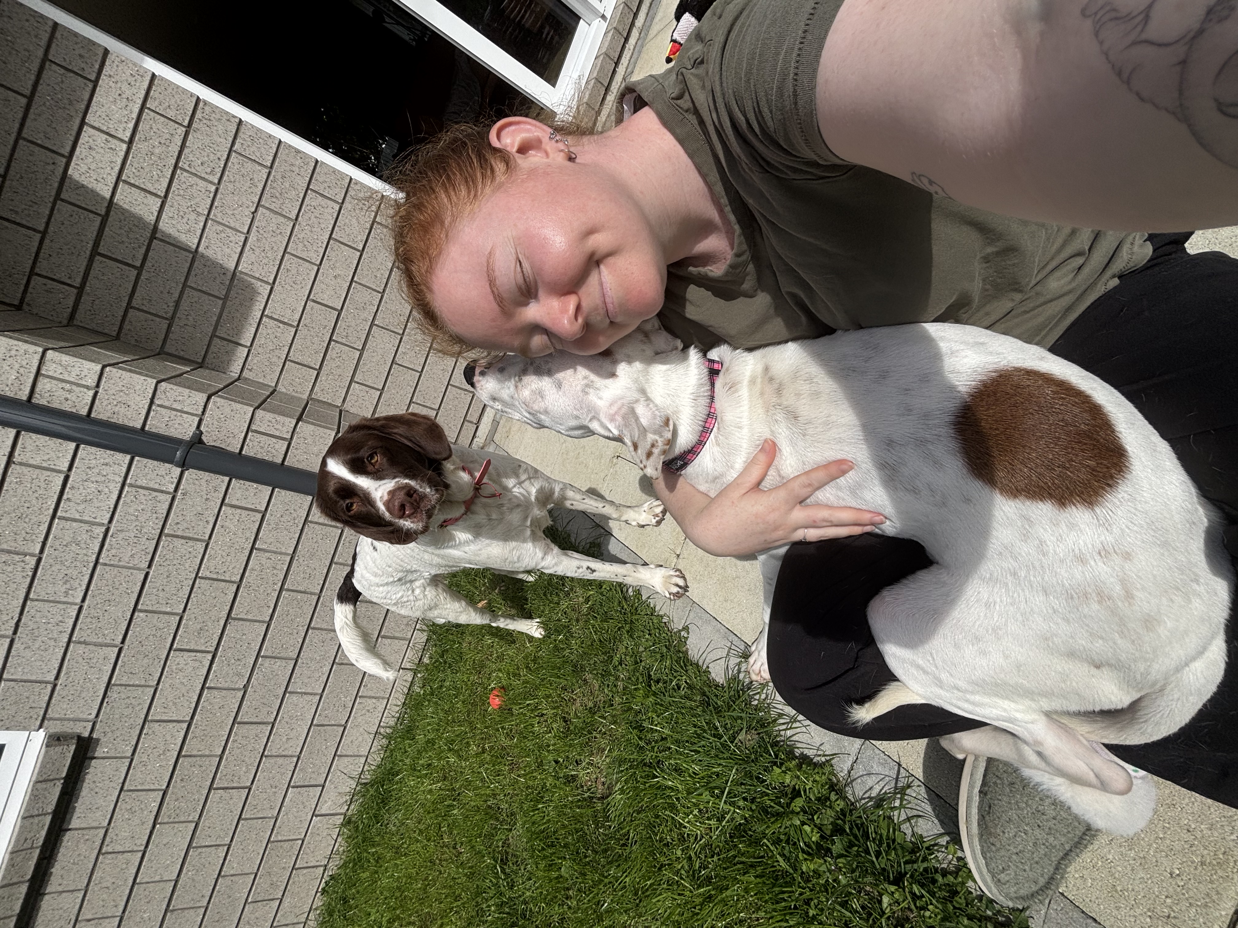 image-6