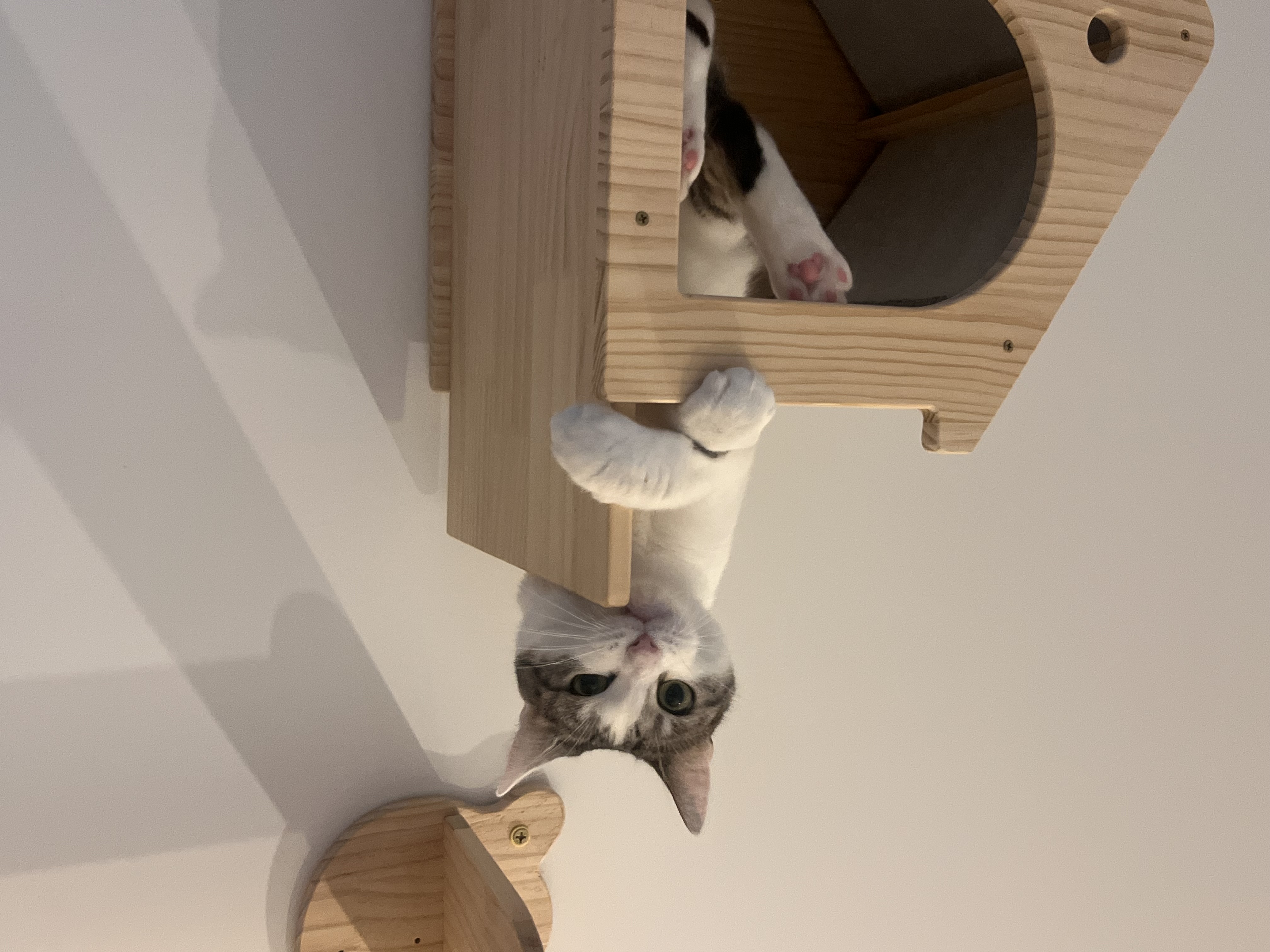 image-15