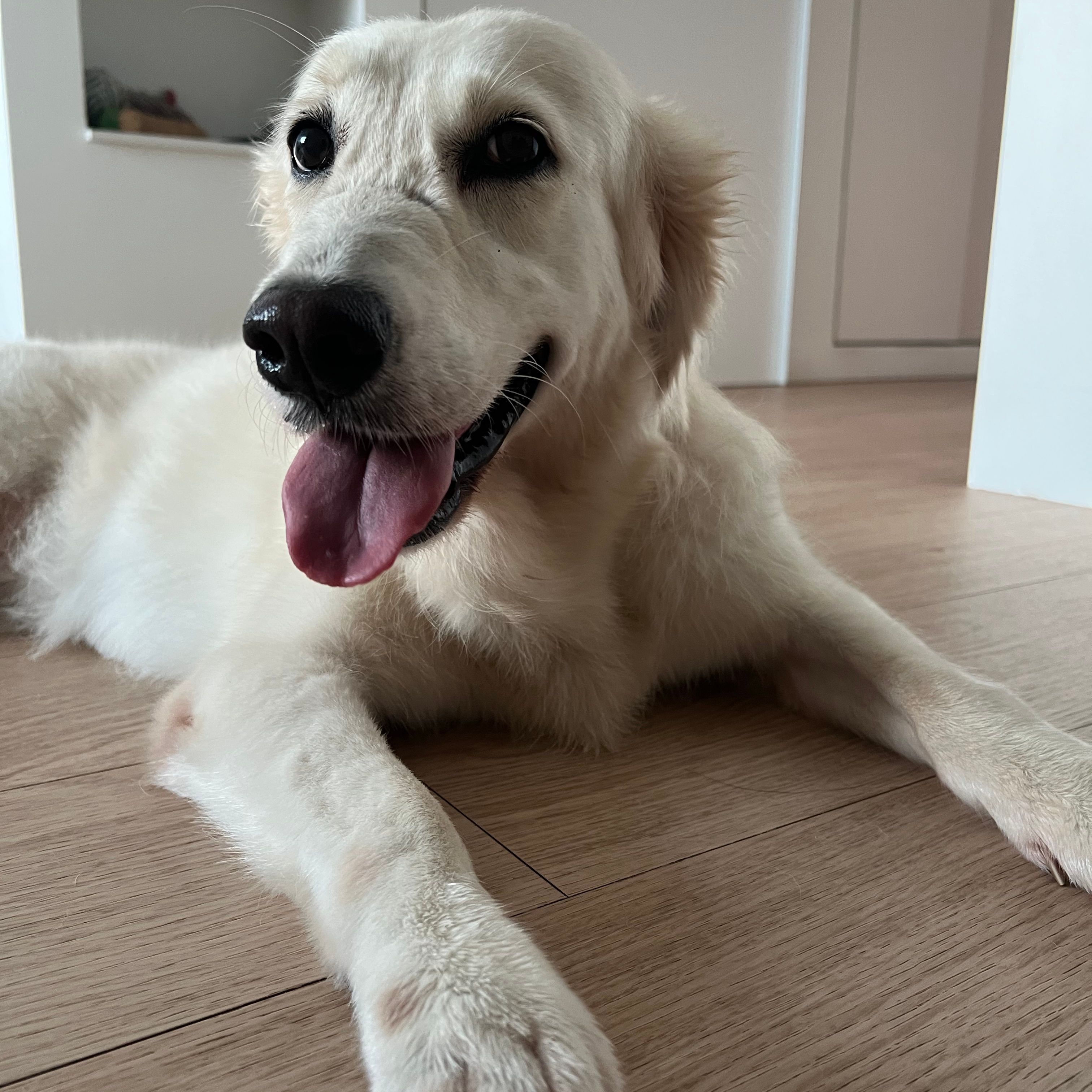 Luna