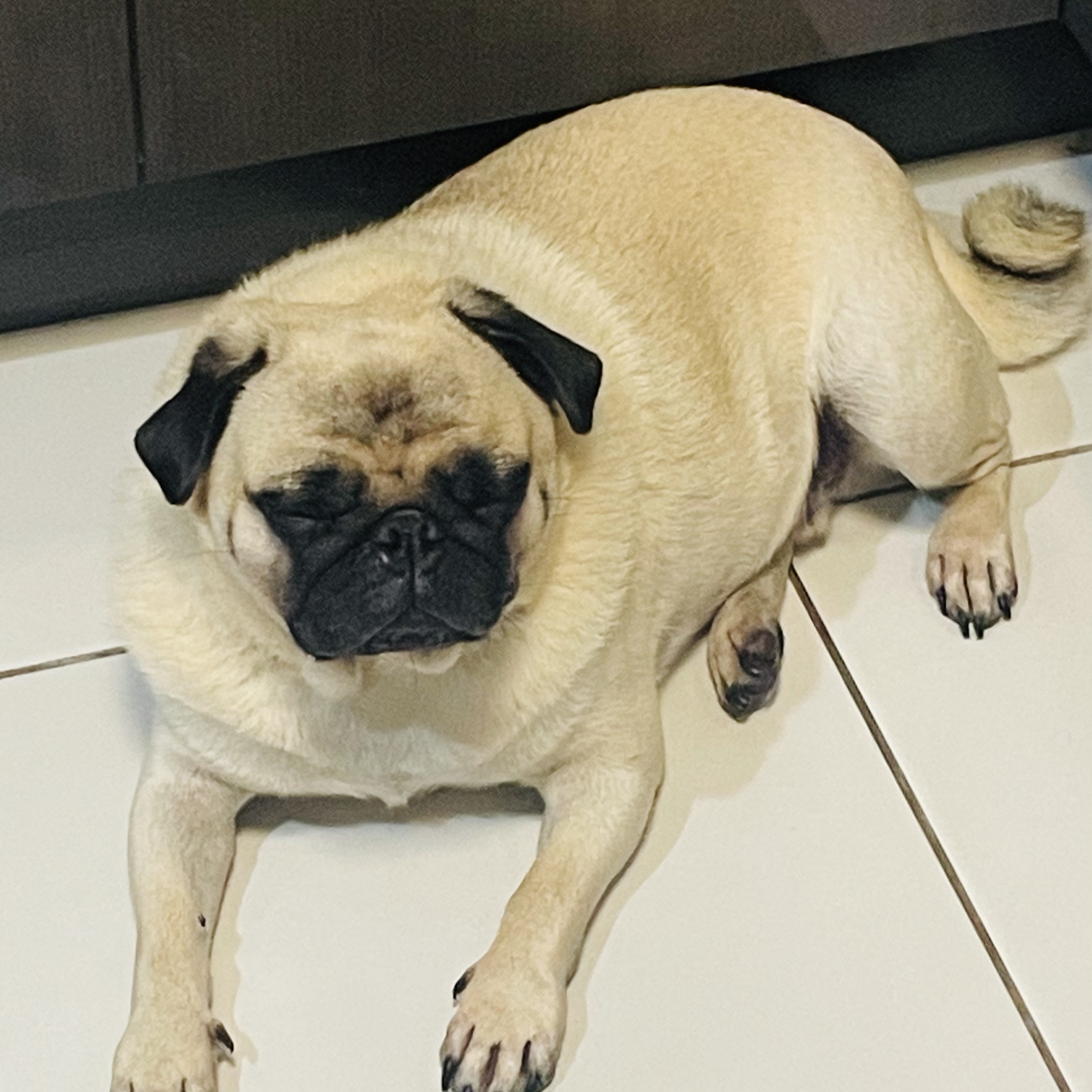 Oscar