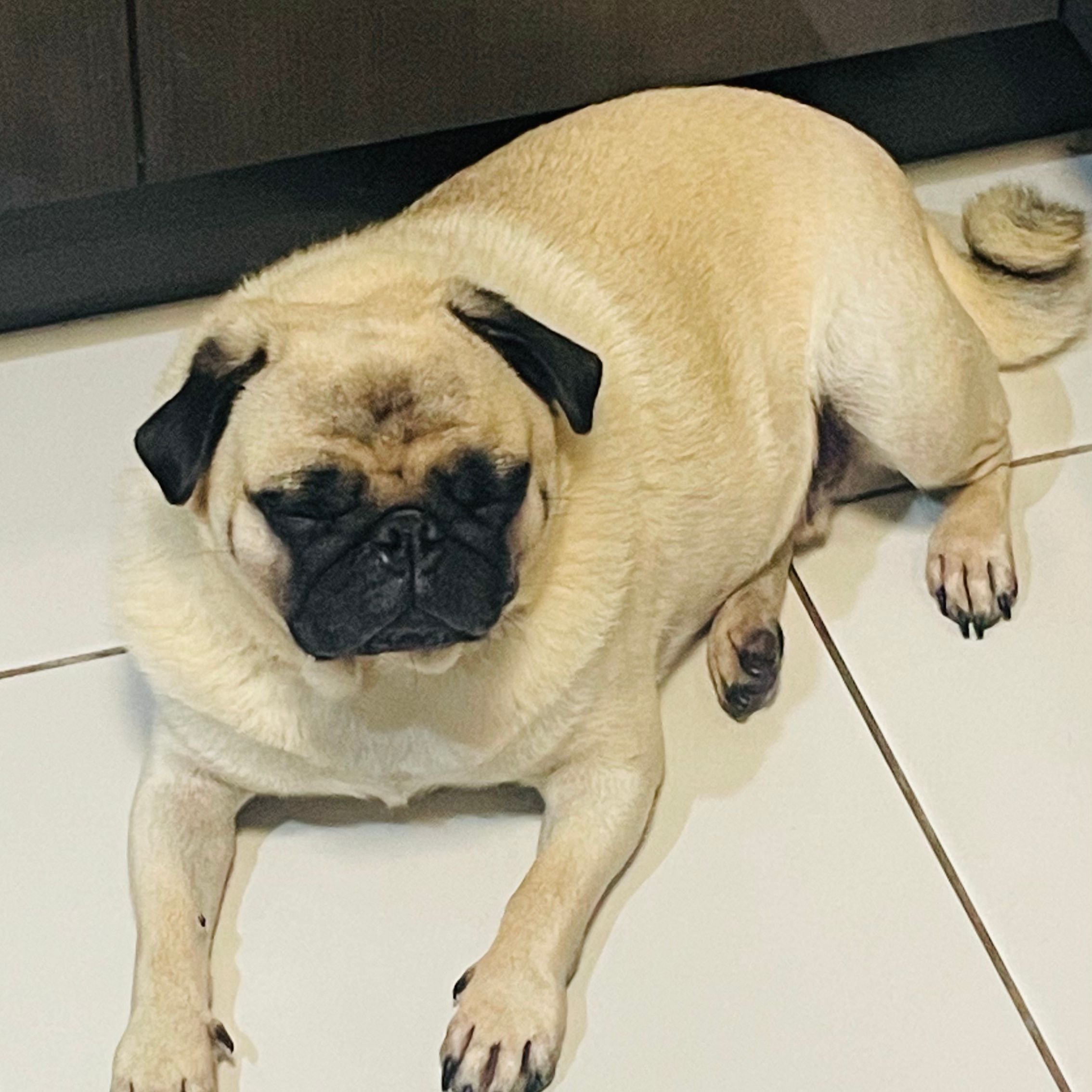 Oscar