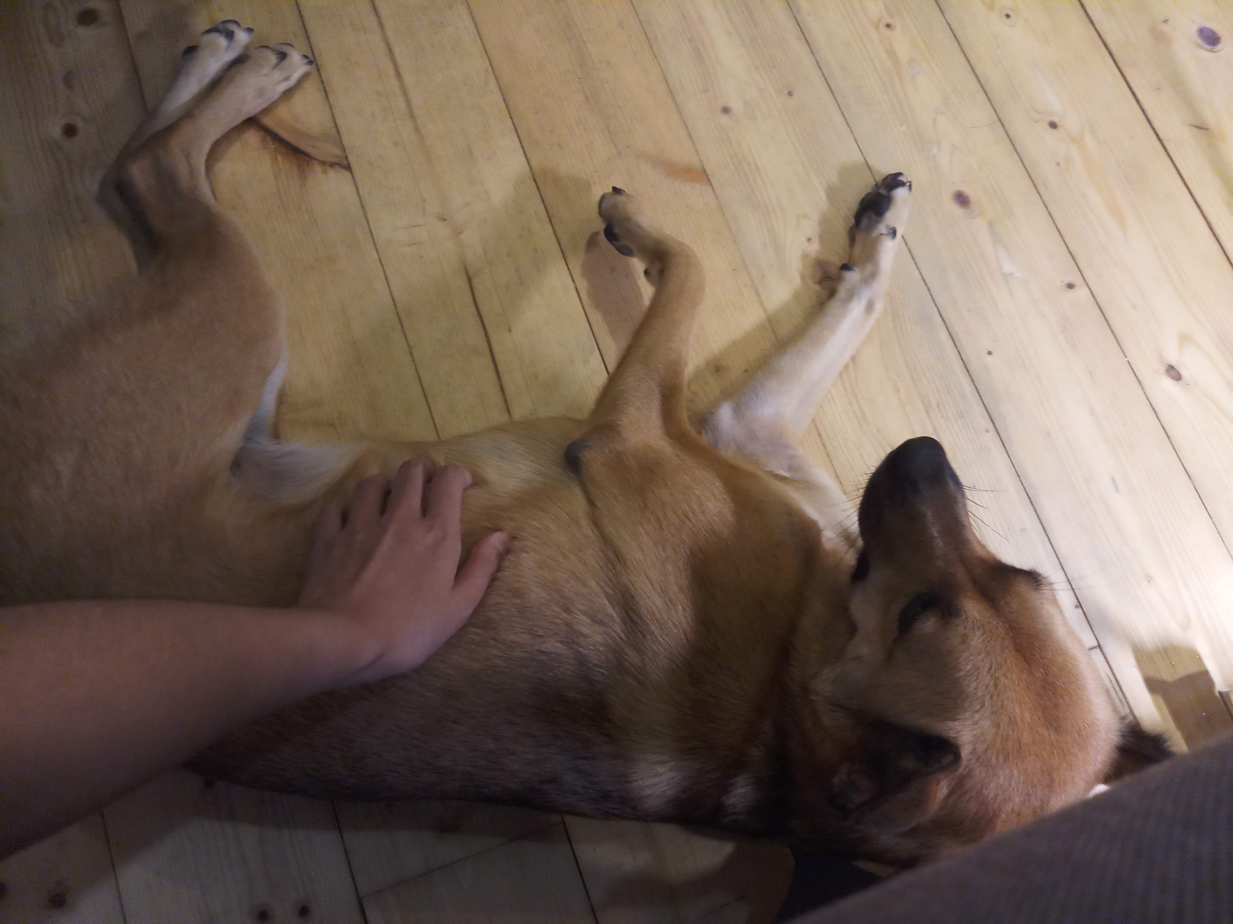 image-12