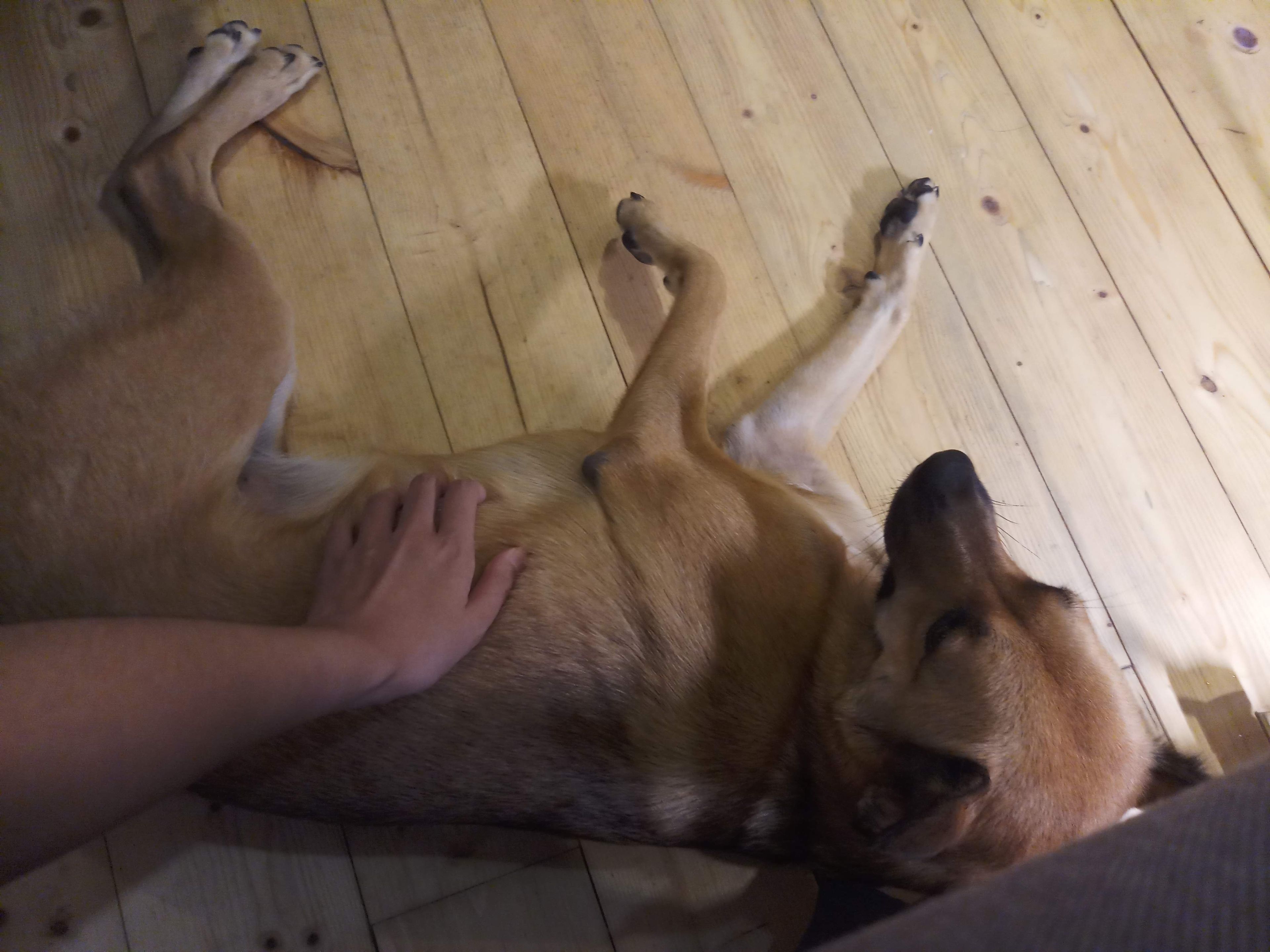 image-12