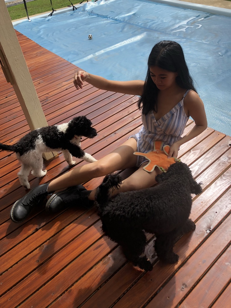 image-7