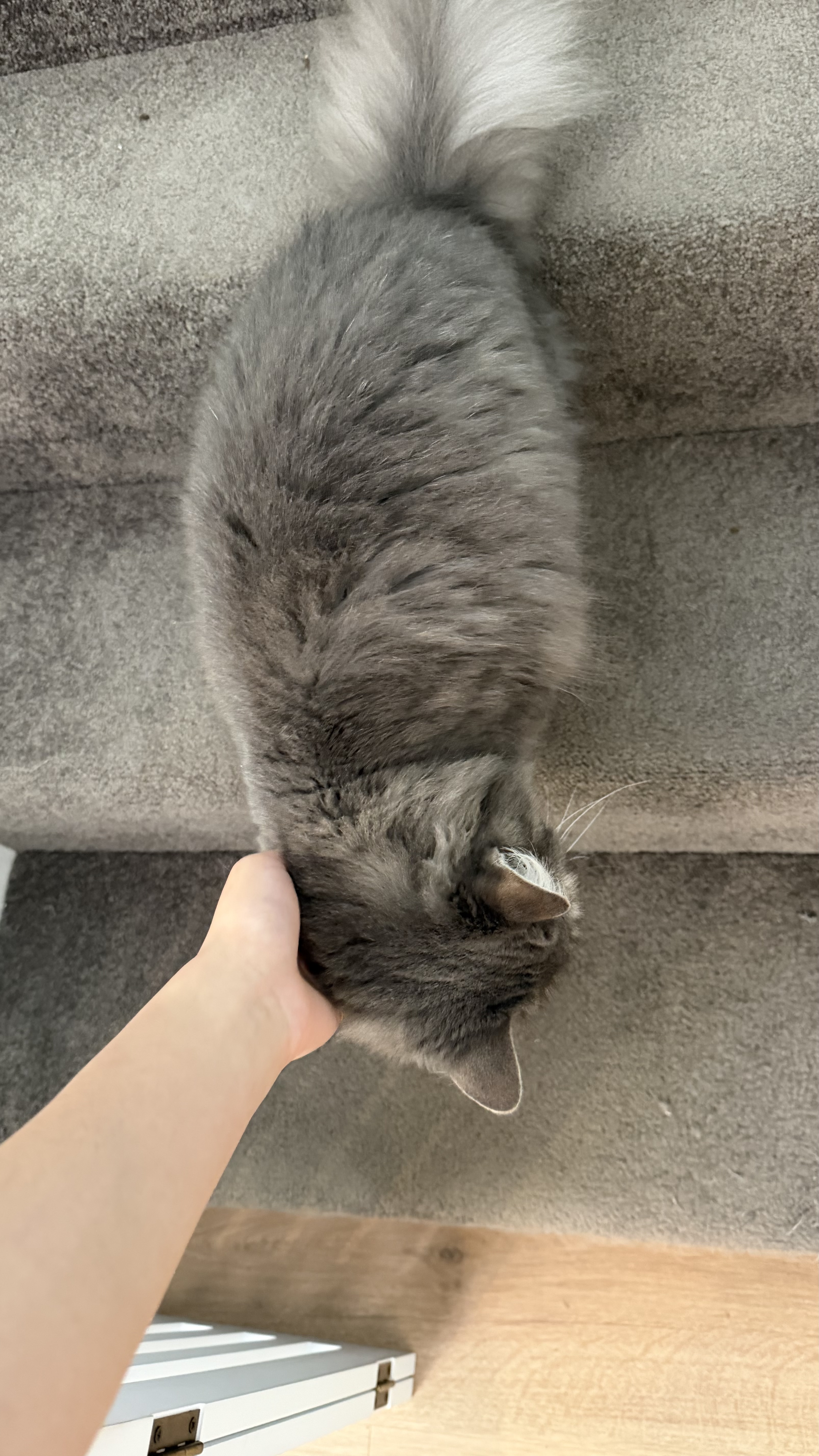 image-8