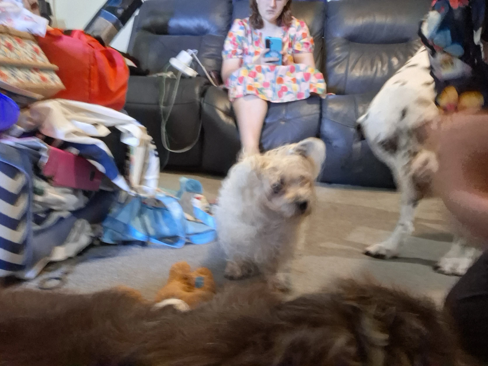 image-10