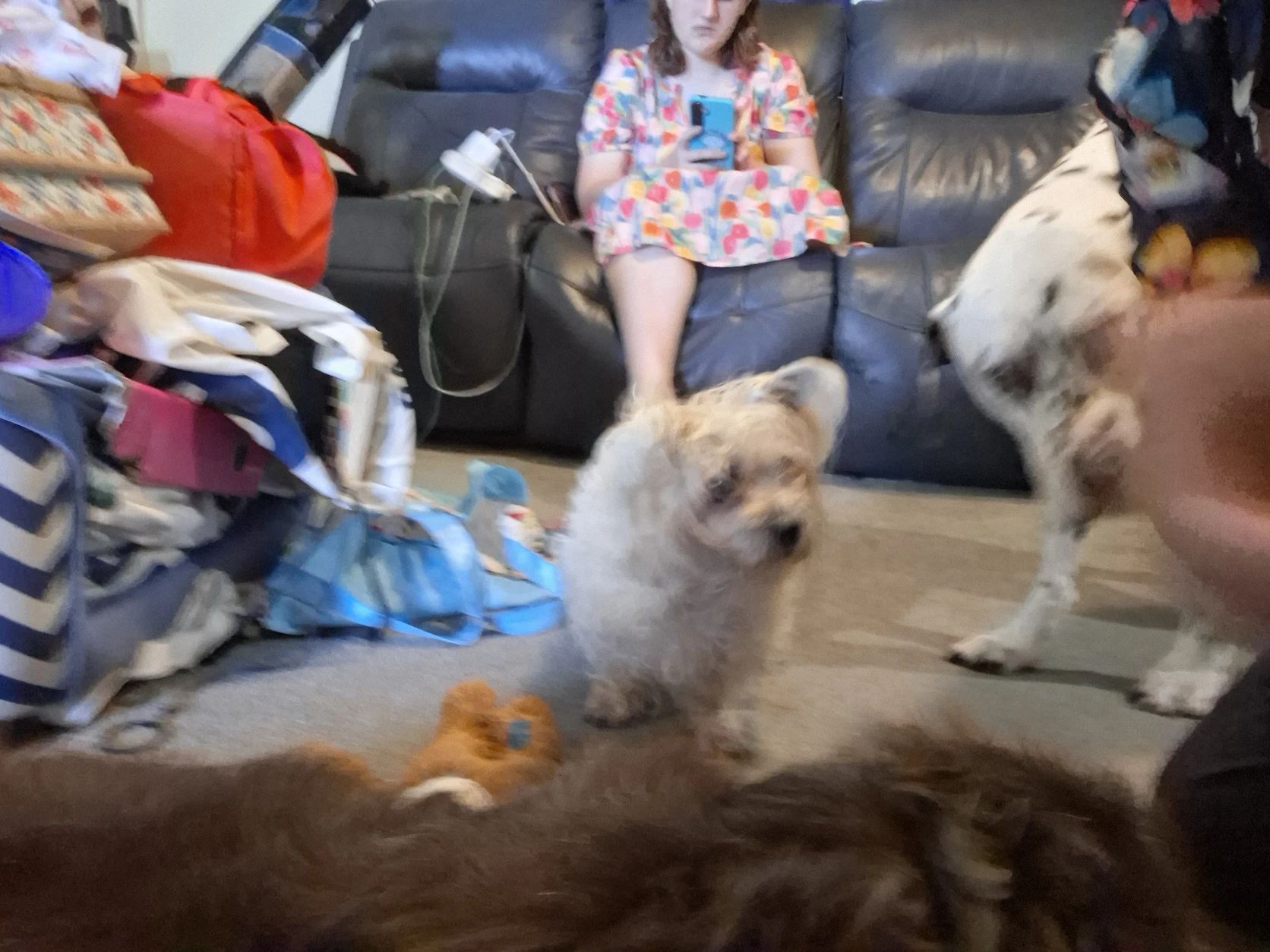 image-10