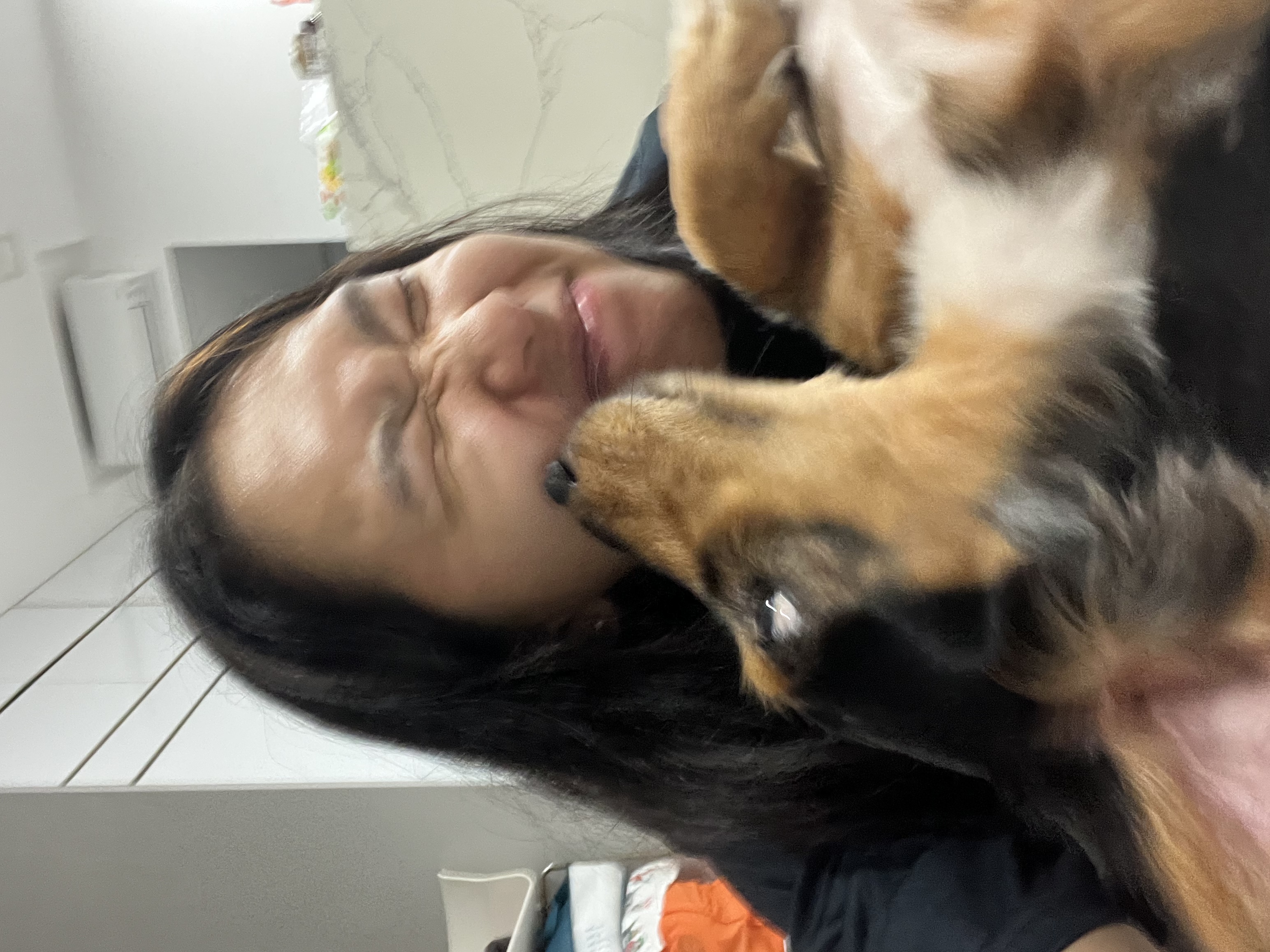 image-4