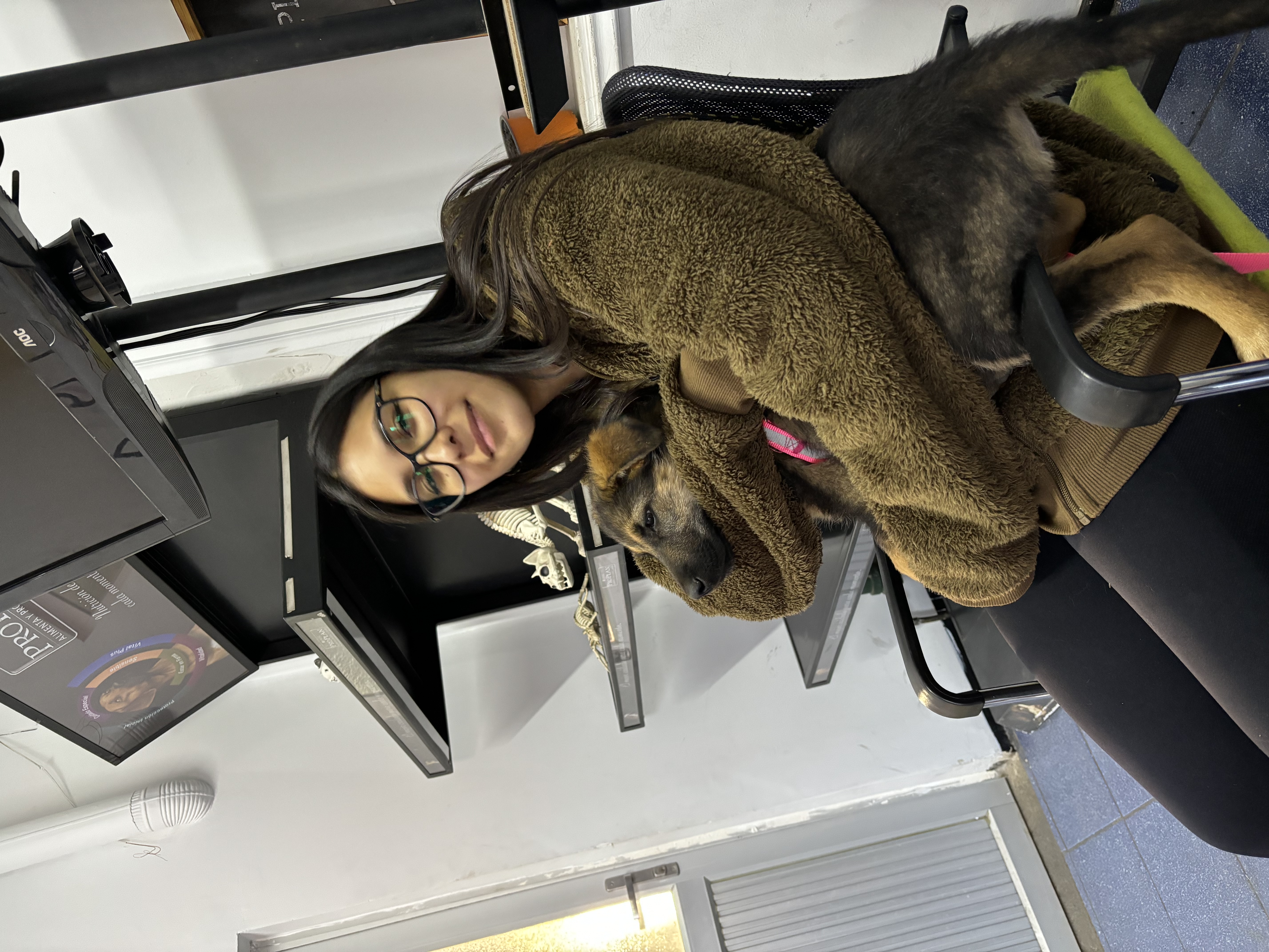 image-9