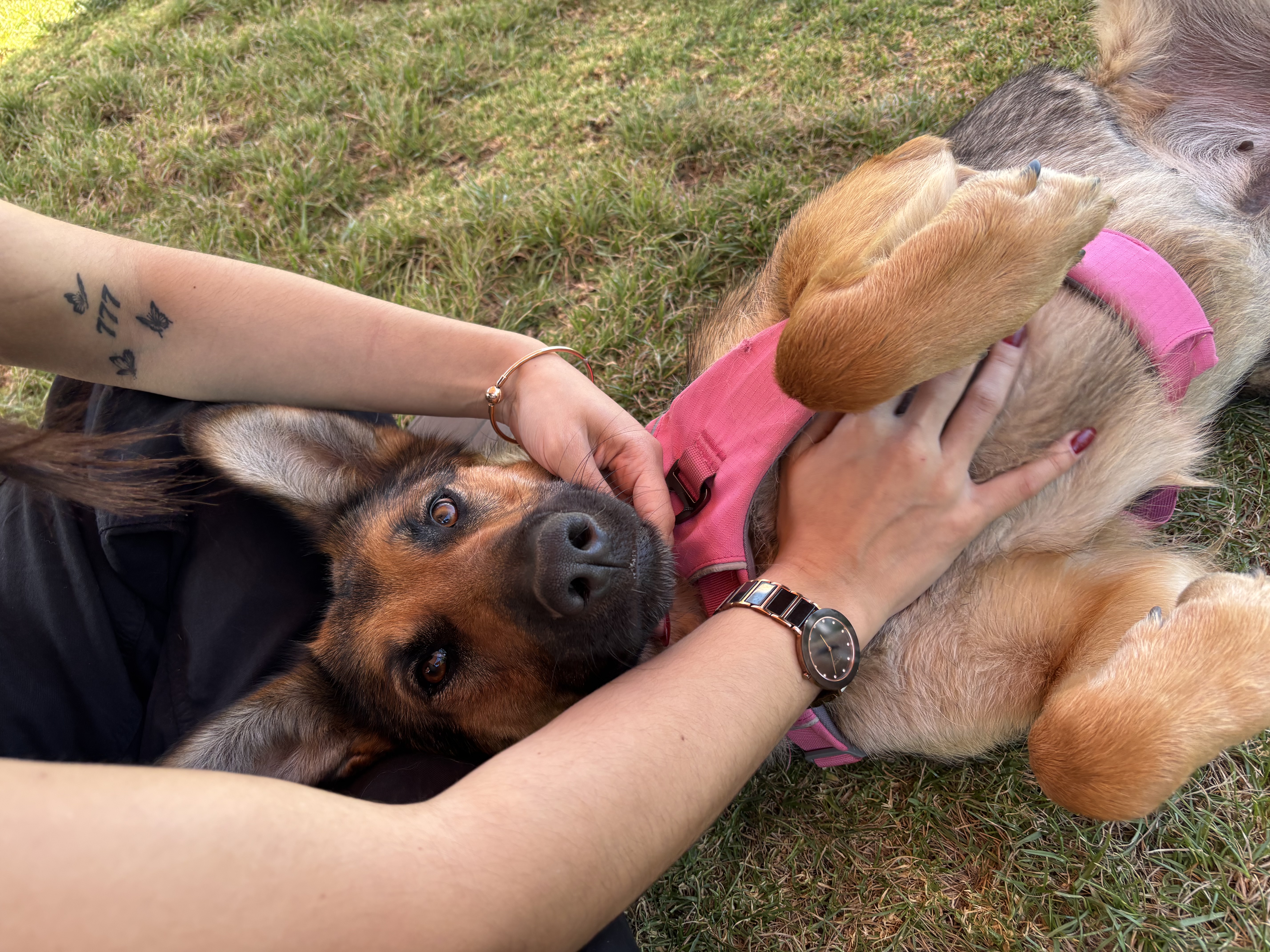 image-7