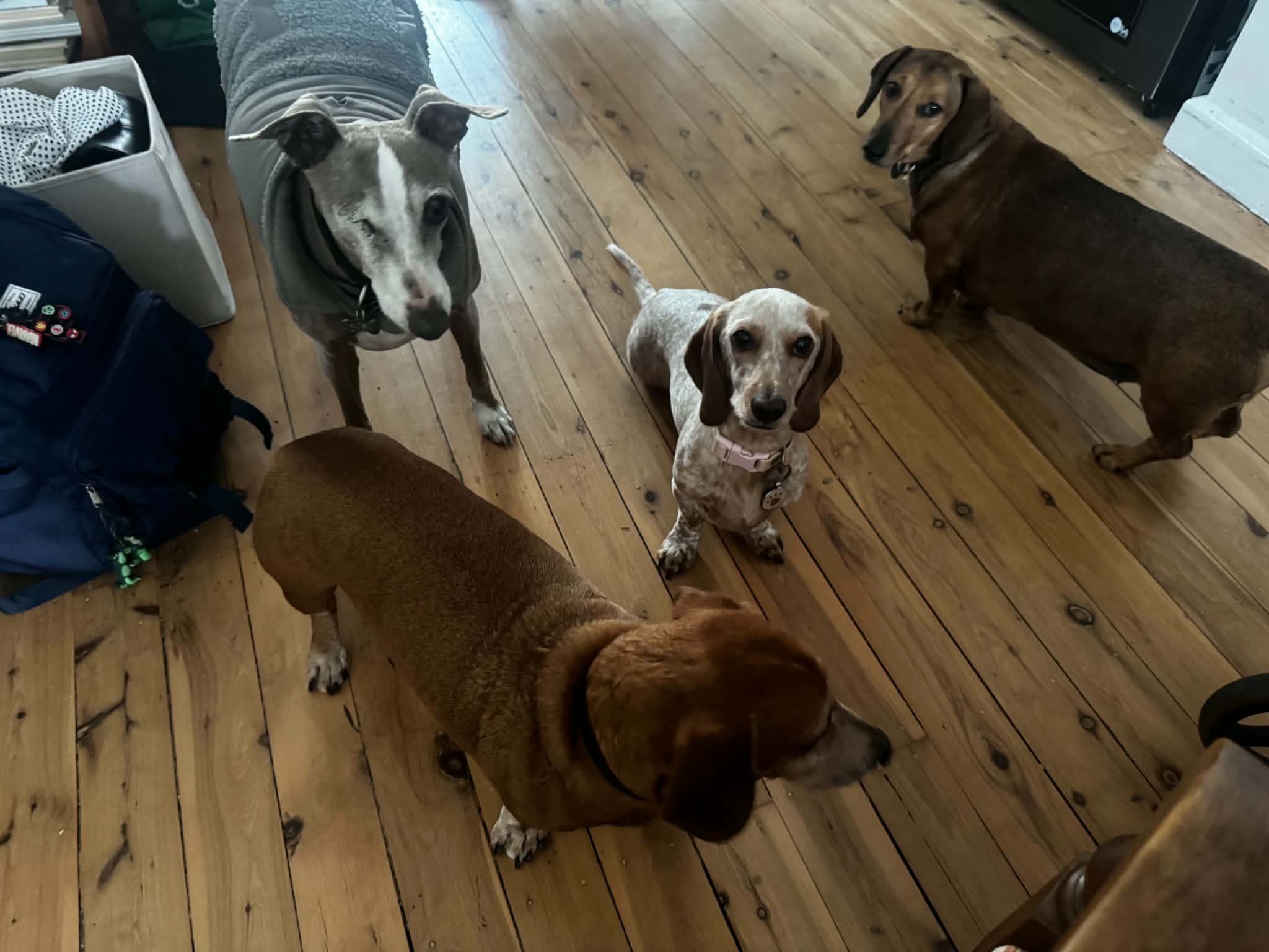 image-4