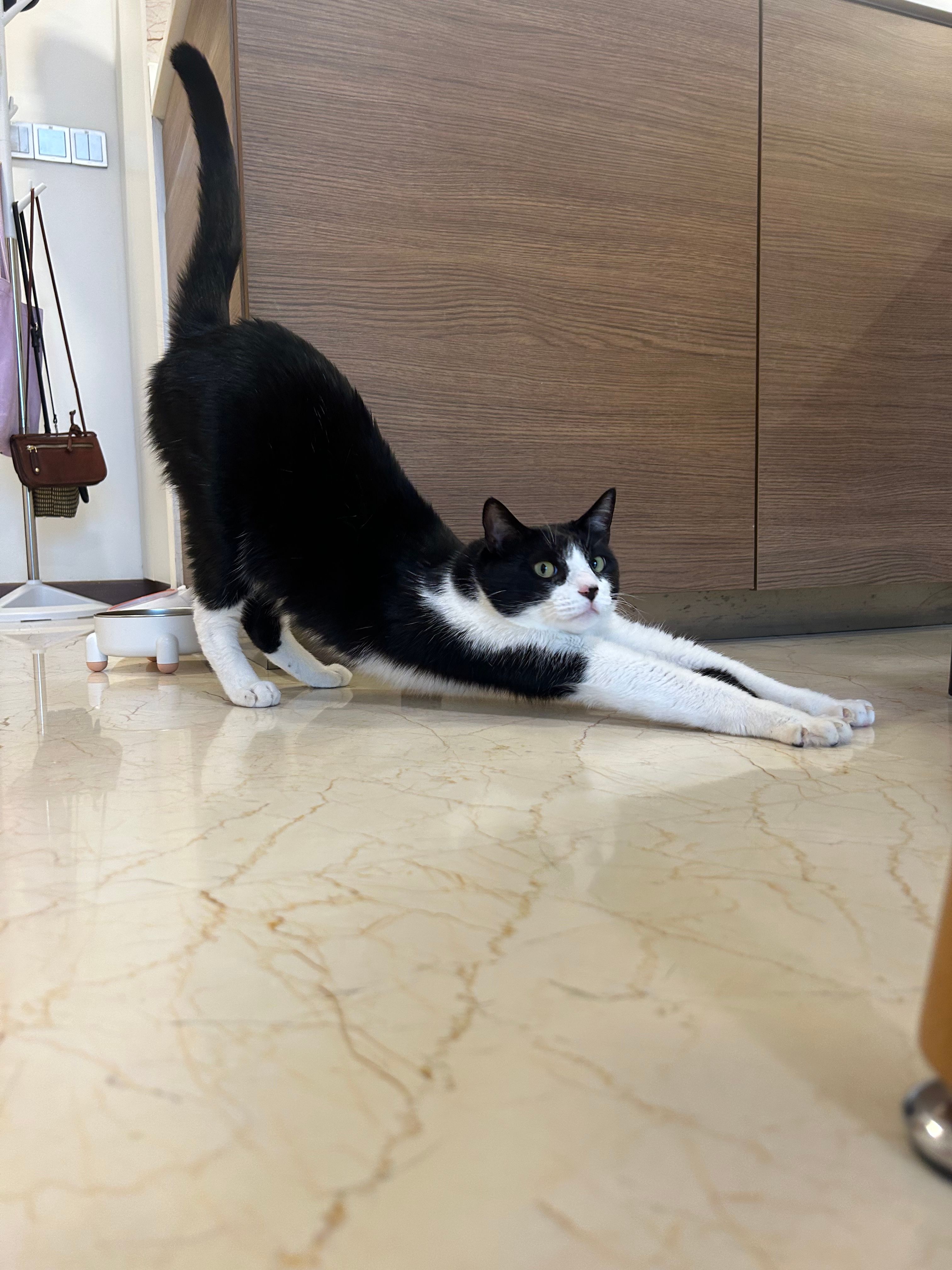 image-8