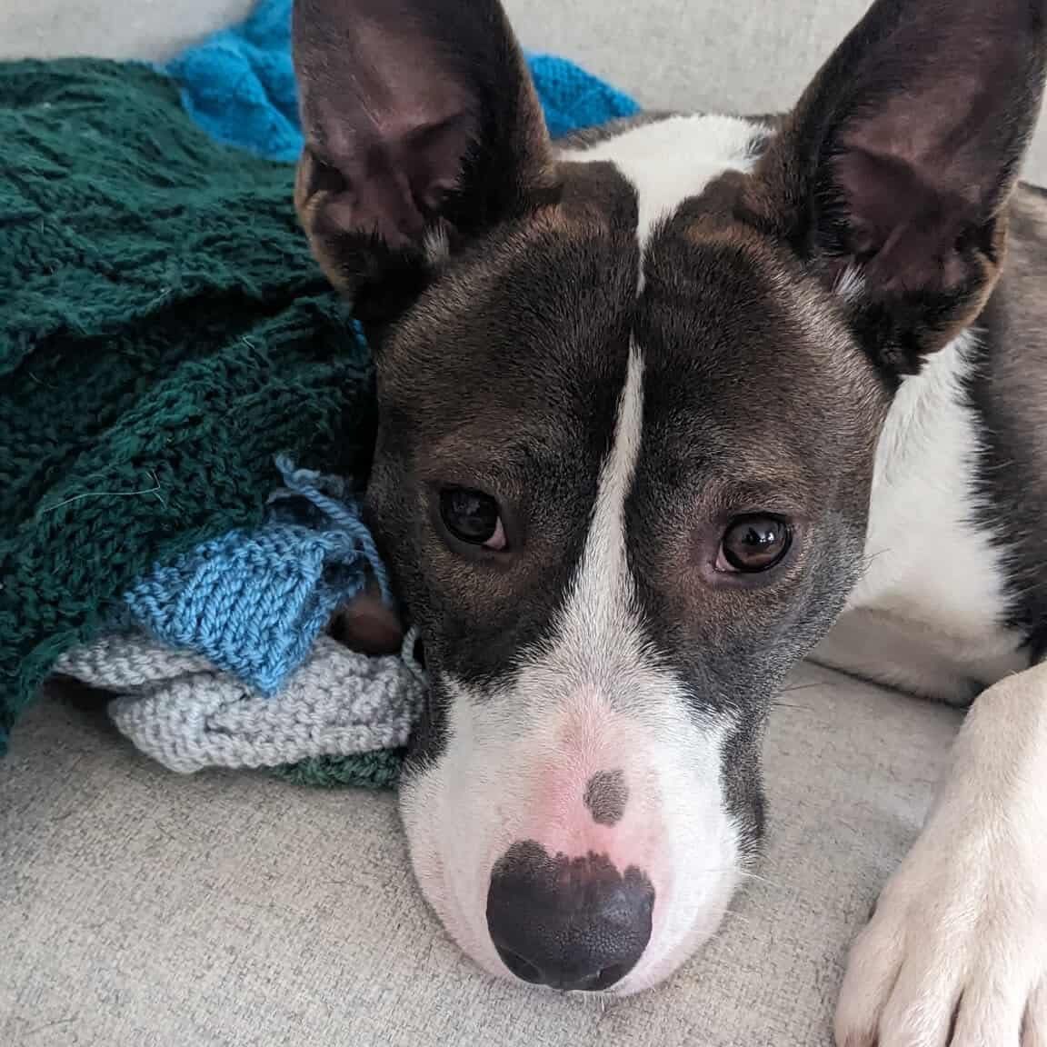 Luna