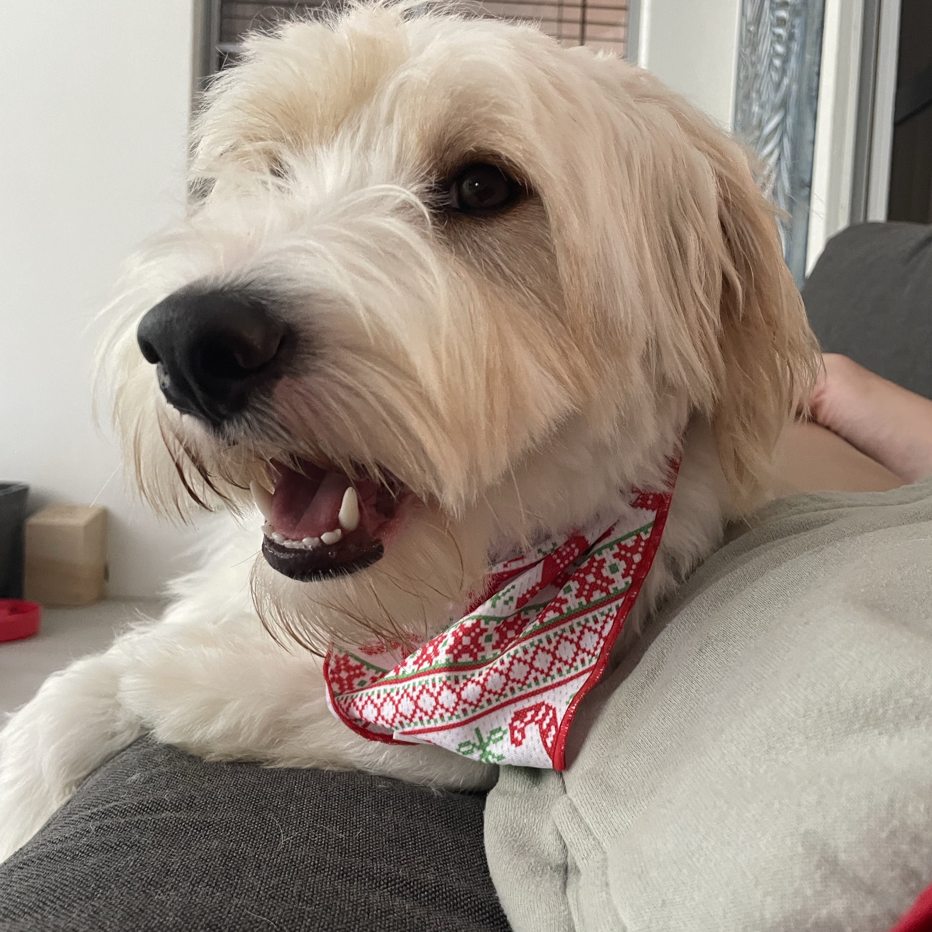 Ted 