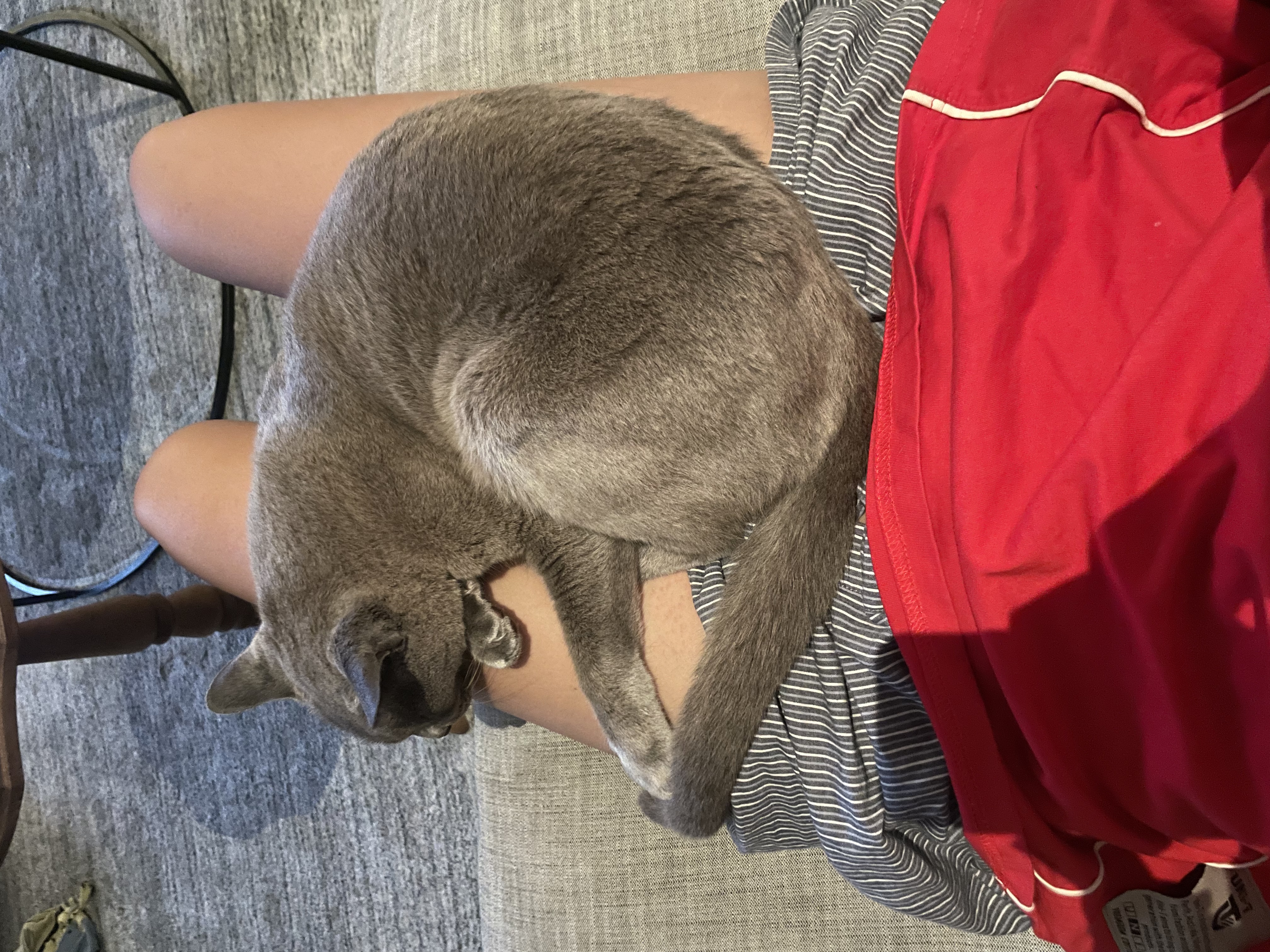 image-10
