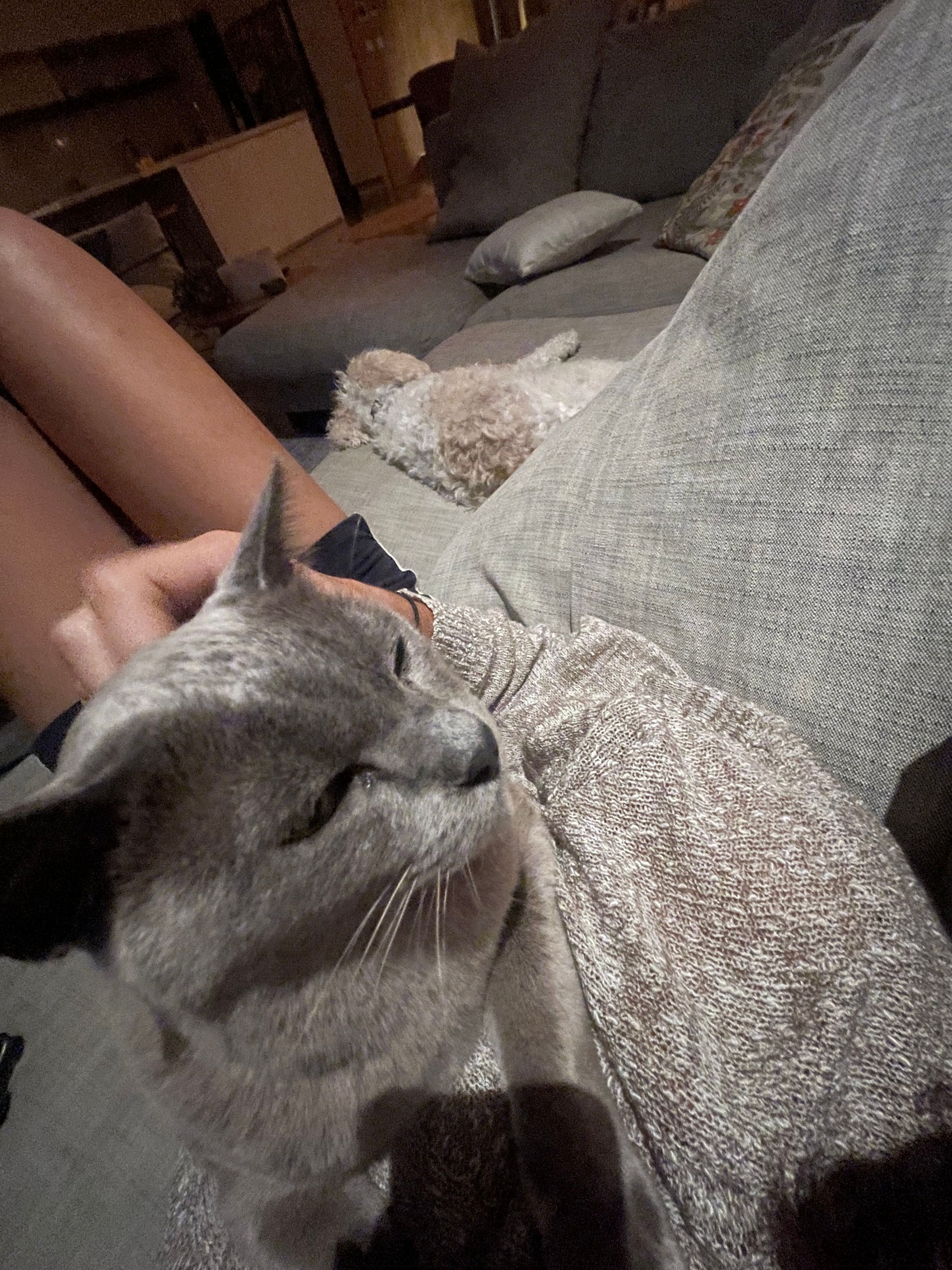 image-8