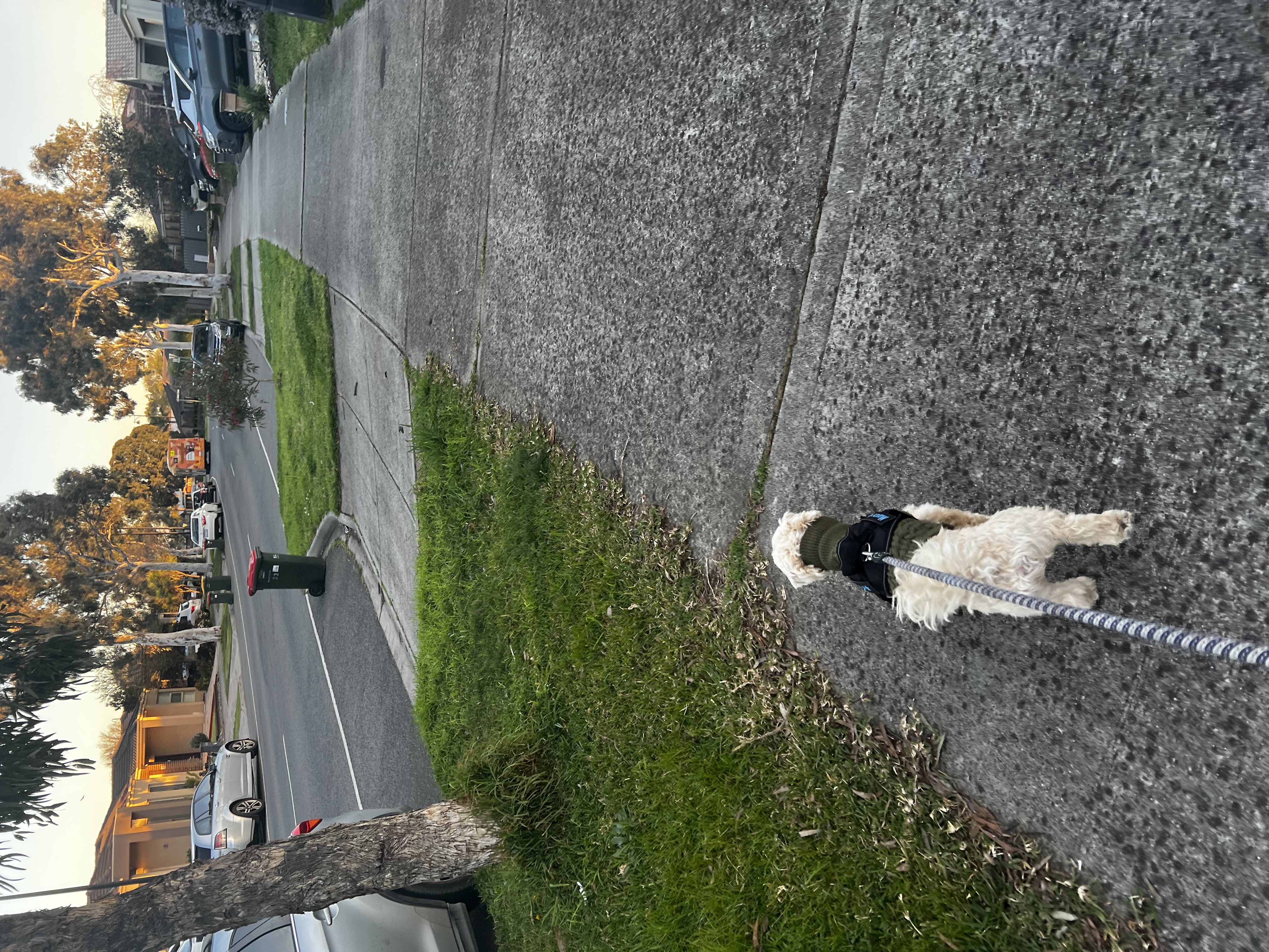 image-58