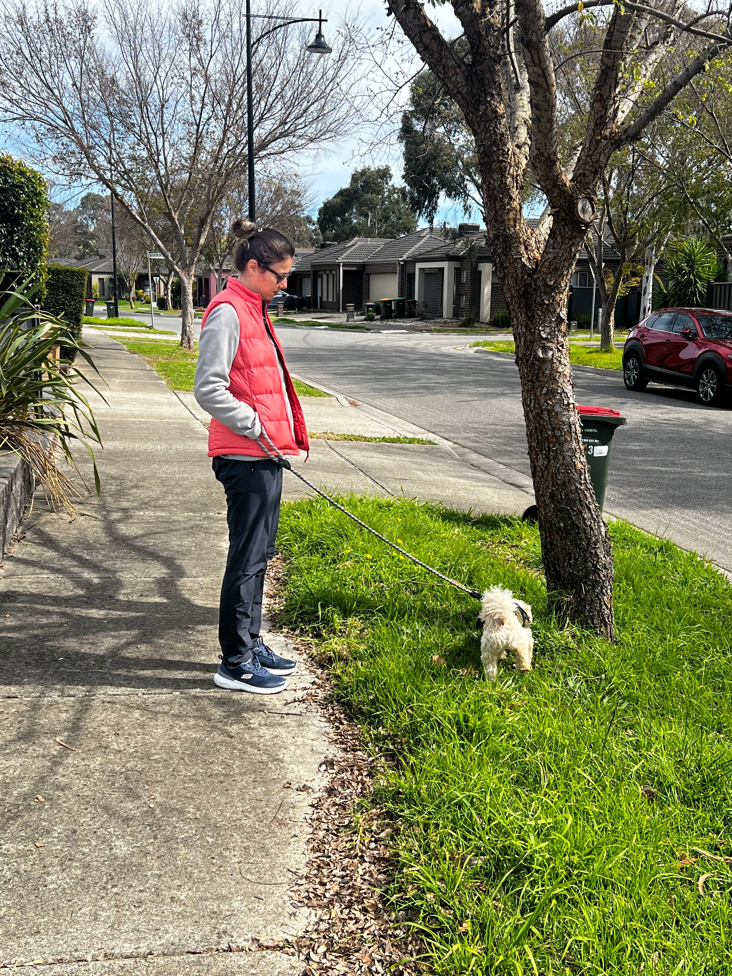 image-49