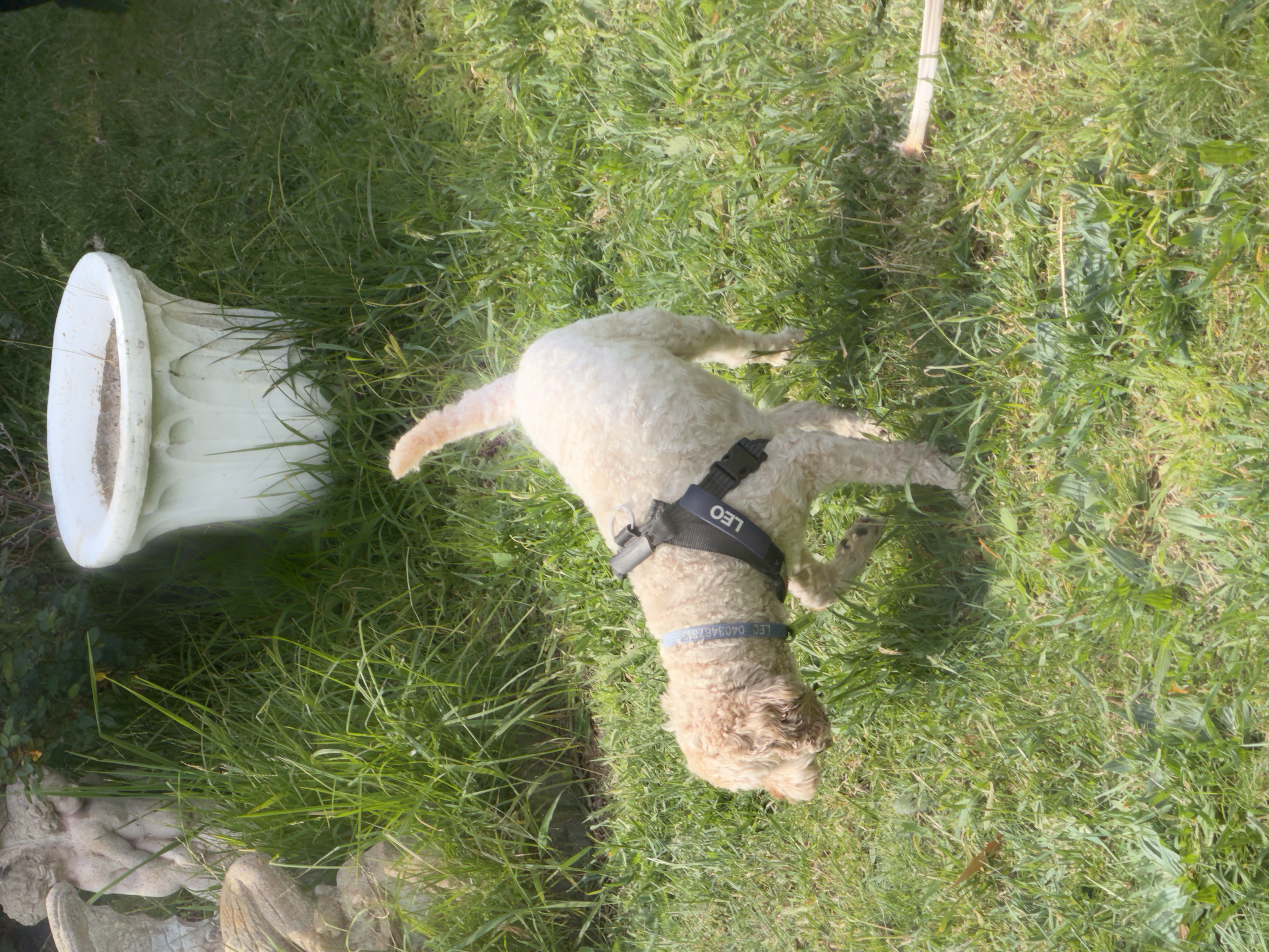 image-10