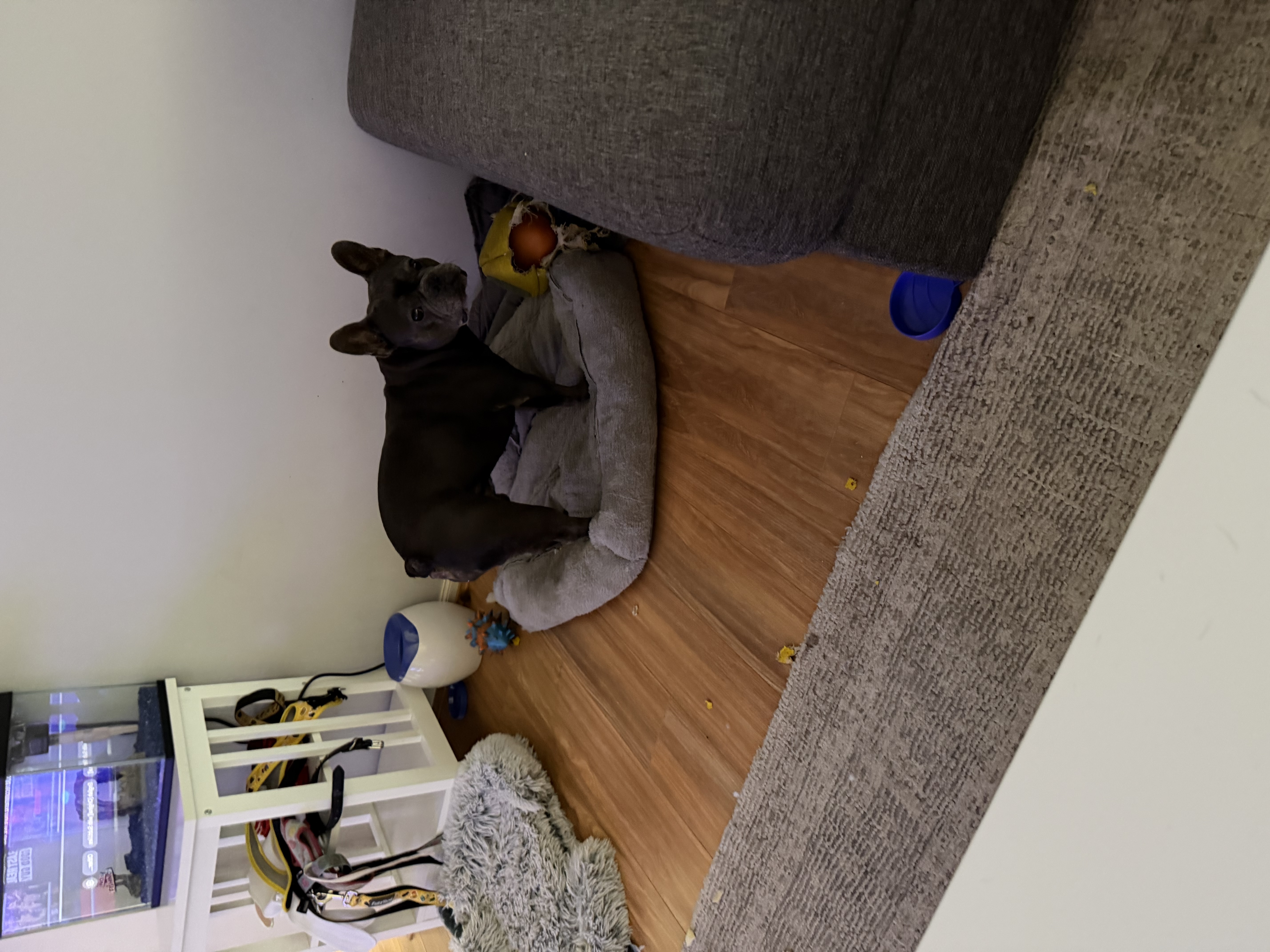 image-4