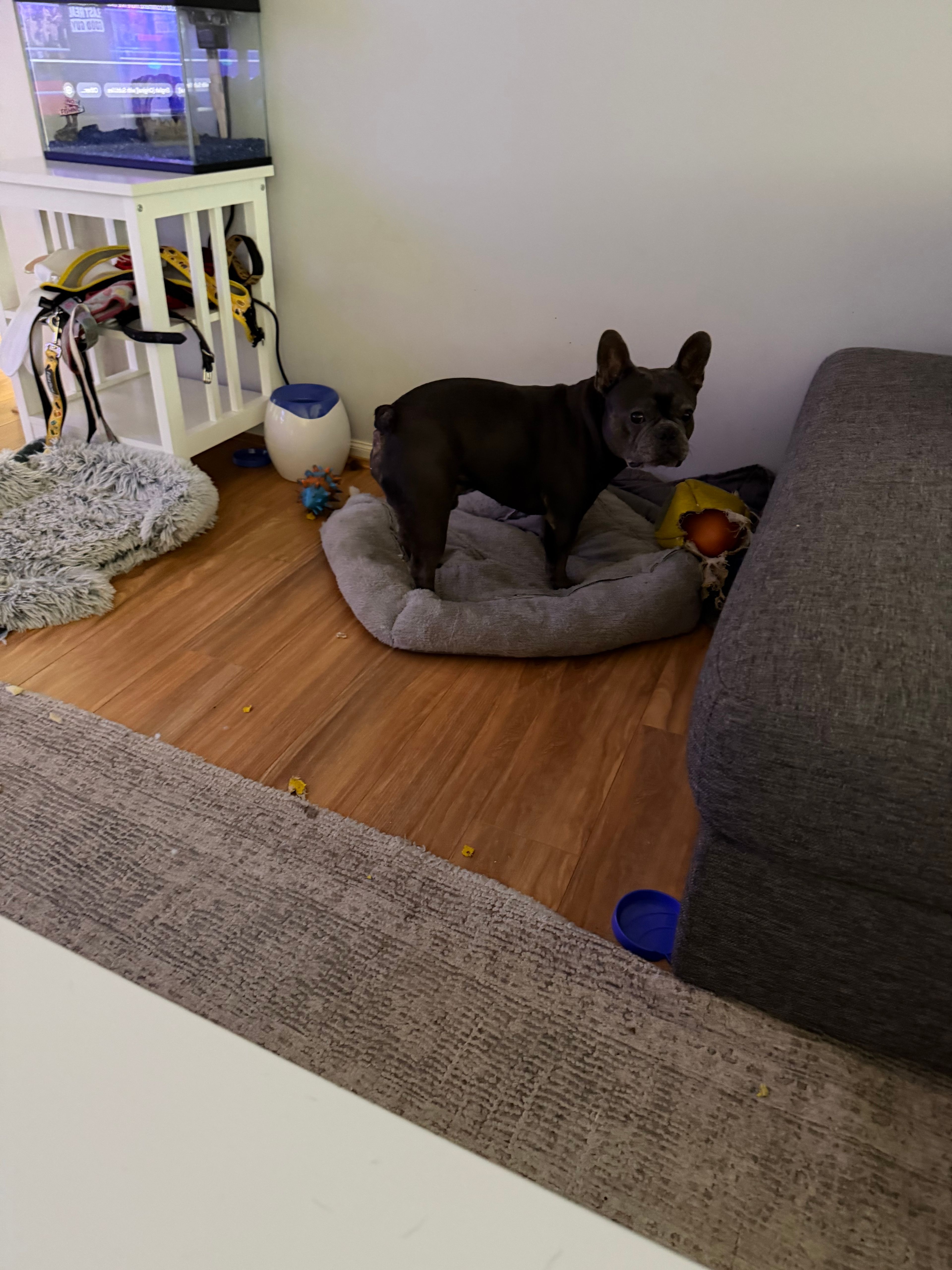 image-4