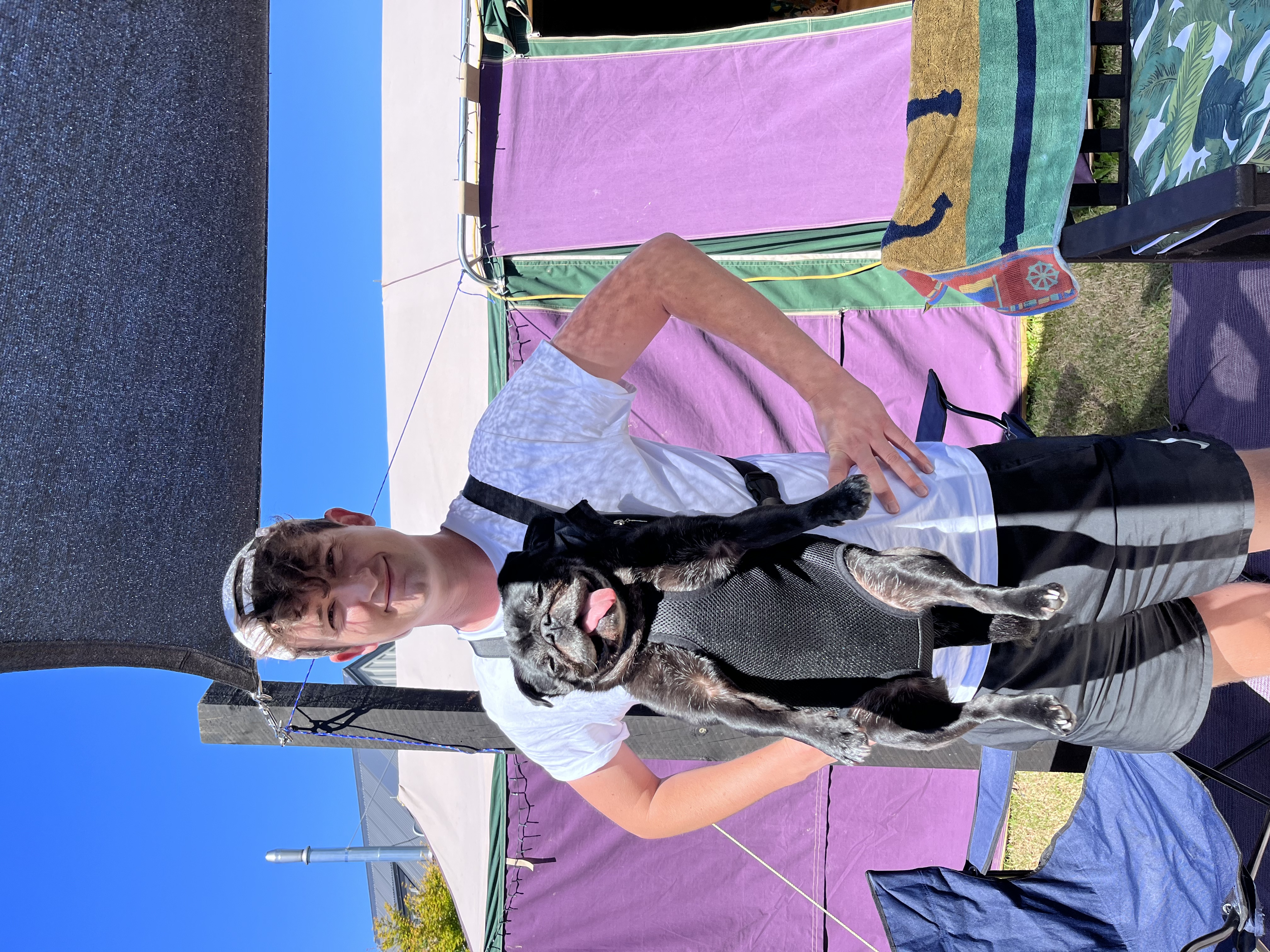 image-6