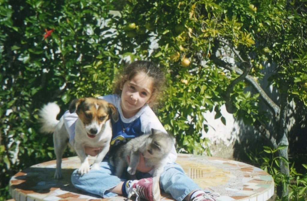image-7
