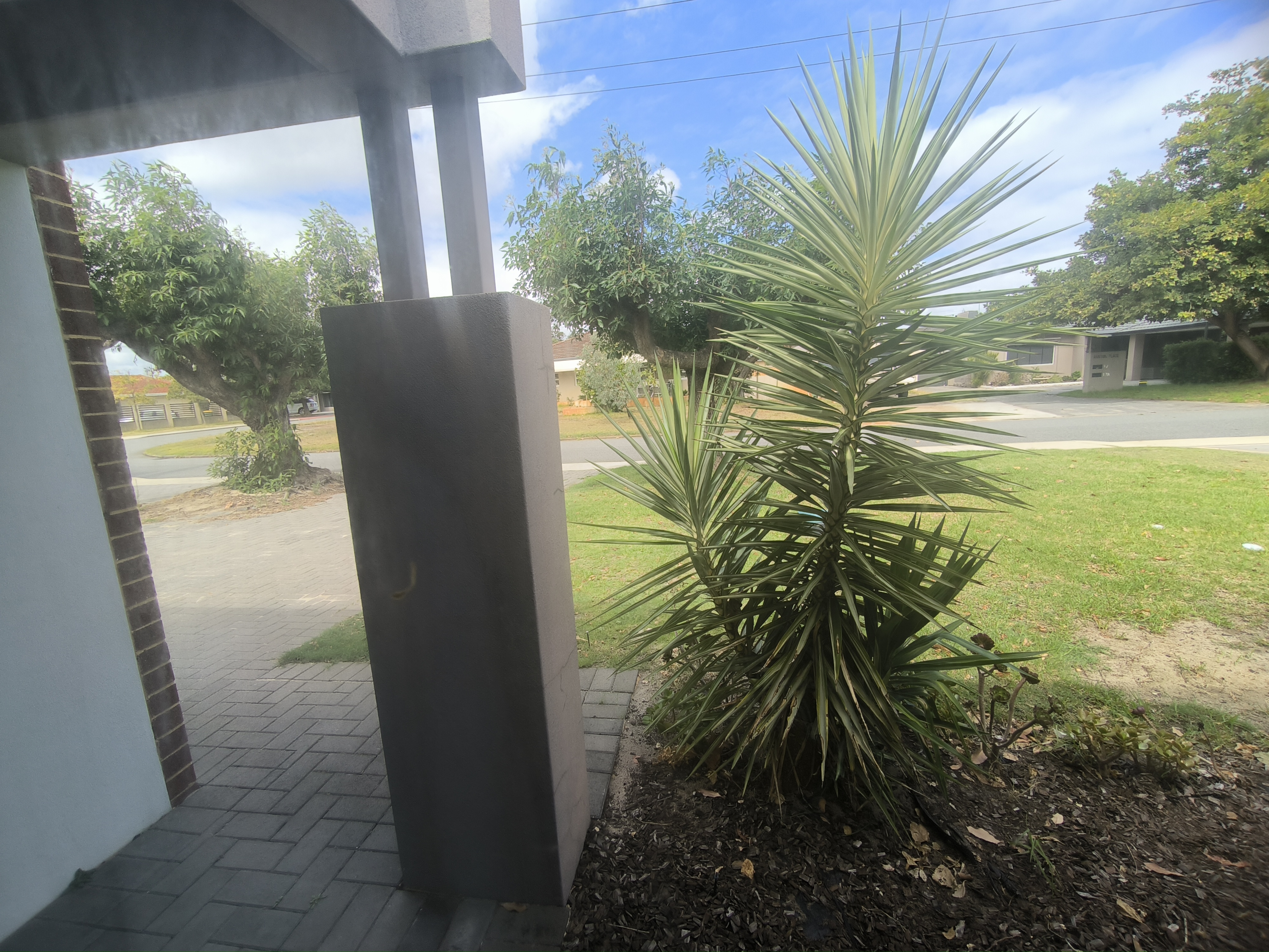 image-19