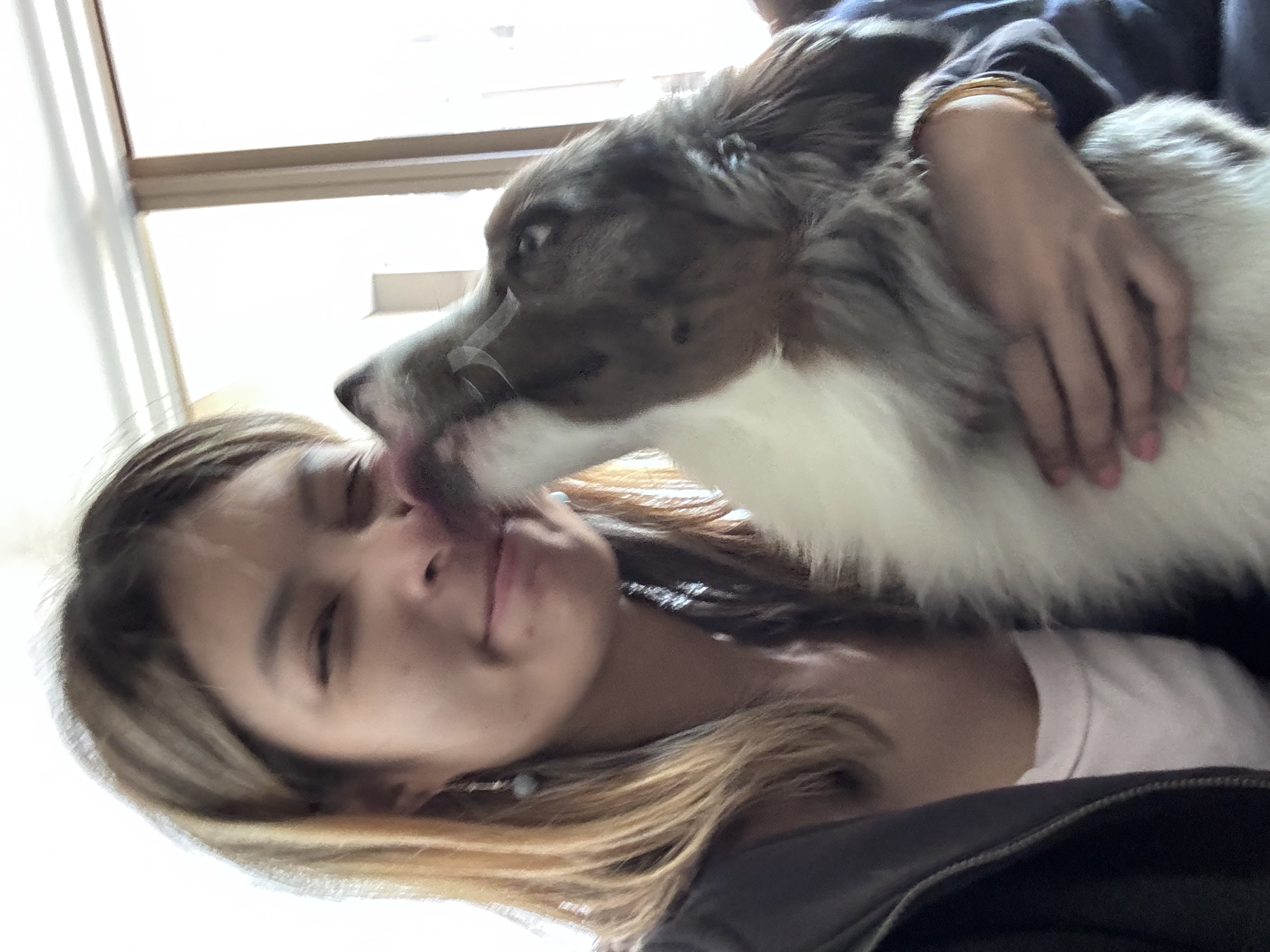image-7