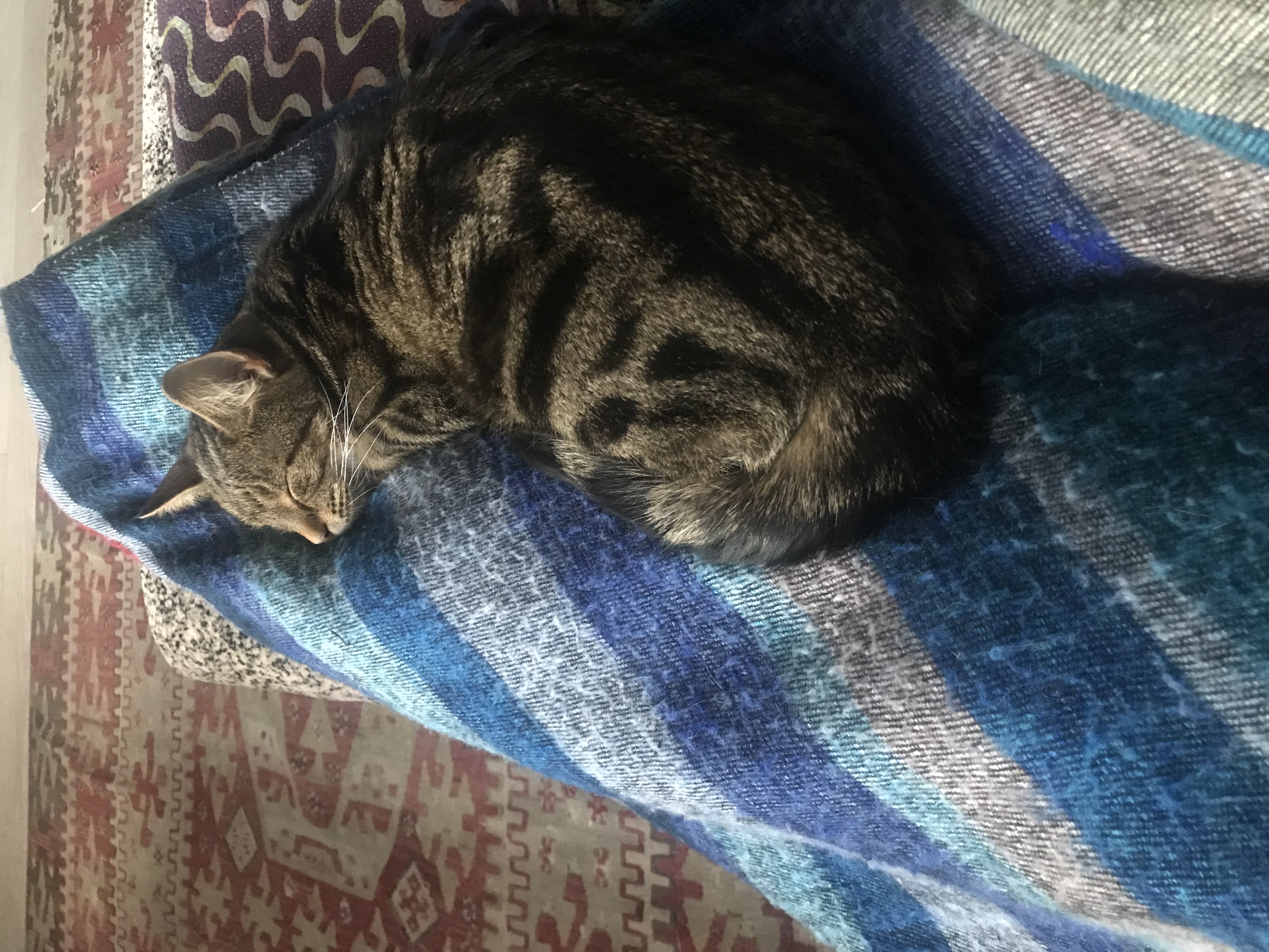 image-11