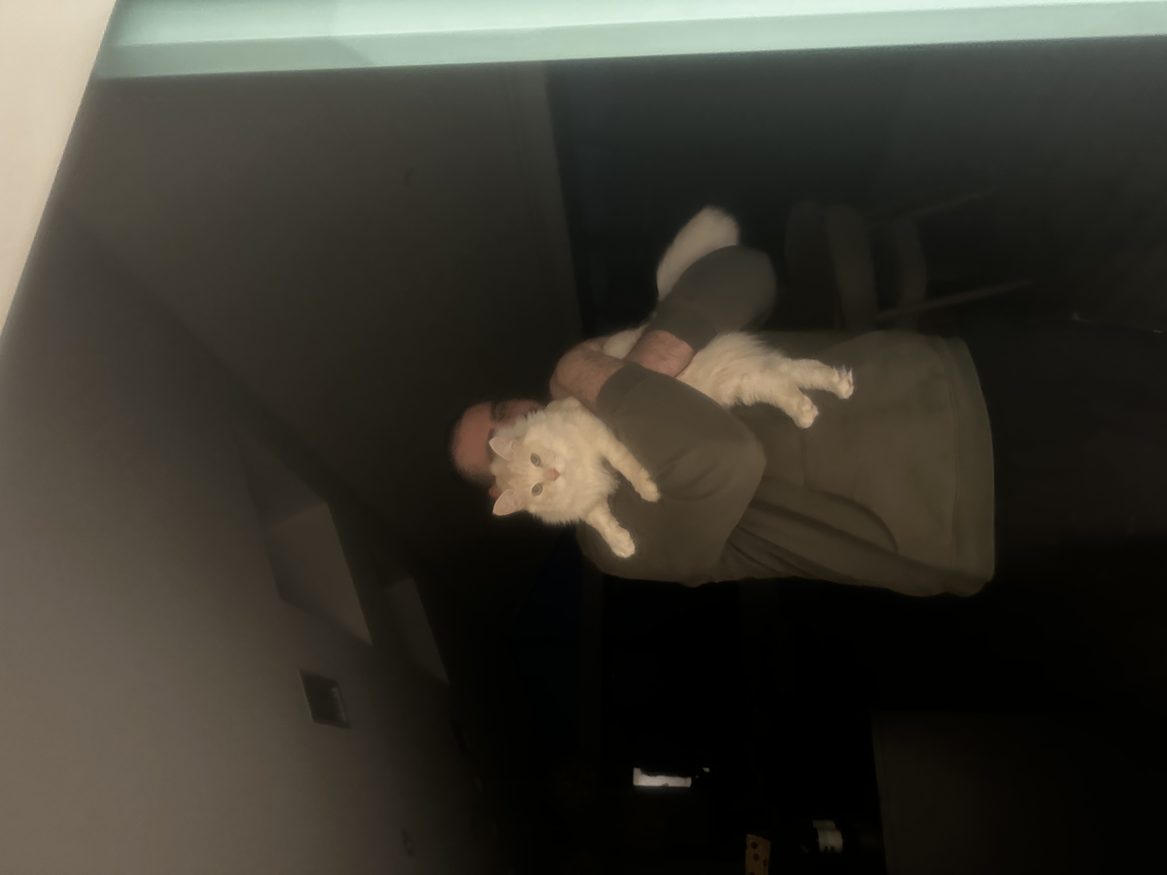 image-18